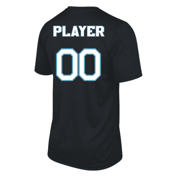 Softball Minors–McCoy Blue Vipers Vision Performance Short-Sleeve Tee – Black – back mockup