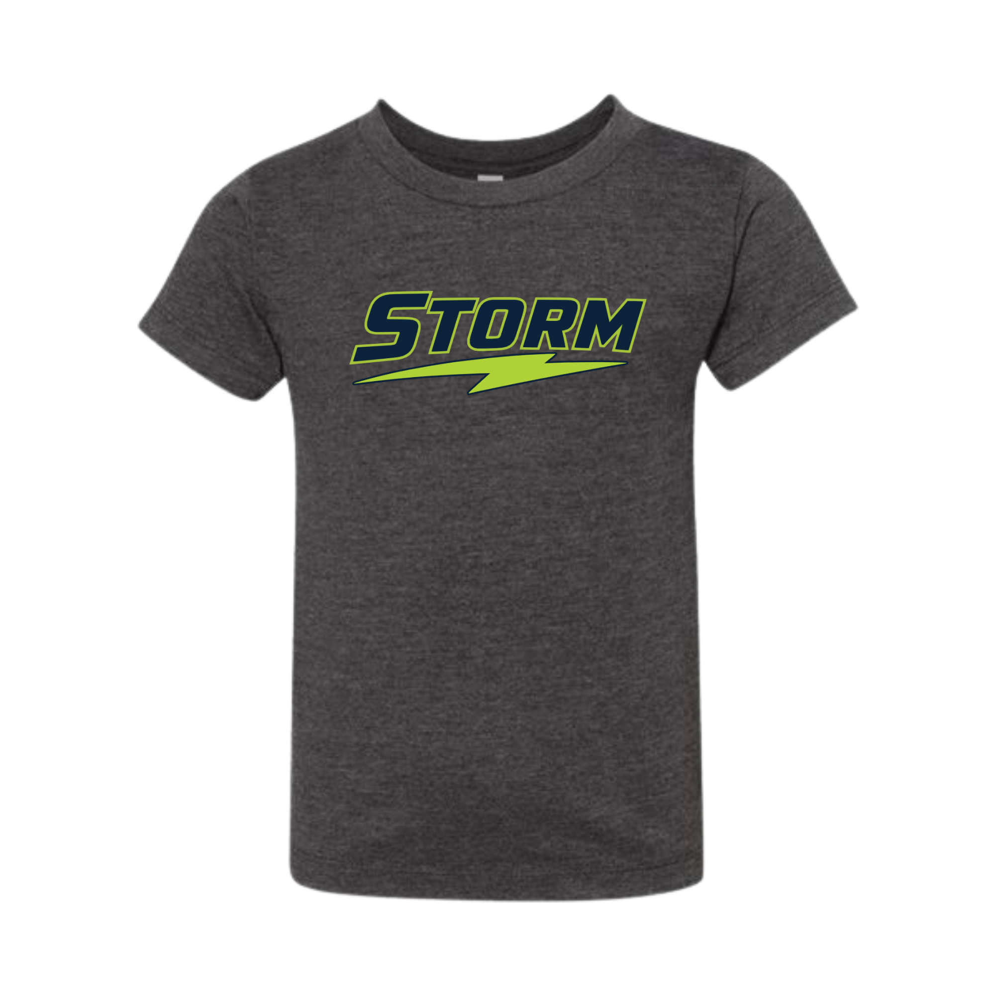 PPSTORM-BC3001T-DG-FLO.png