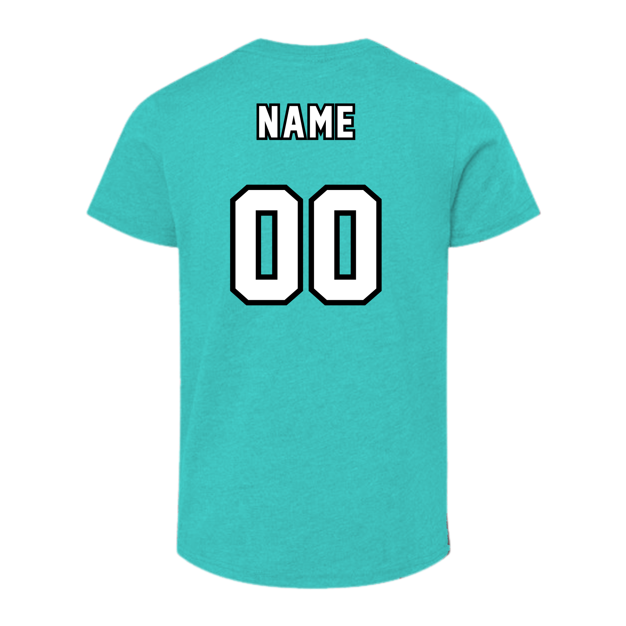 PPNLL-BC3001Y-Teal-PP.png