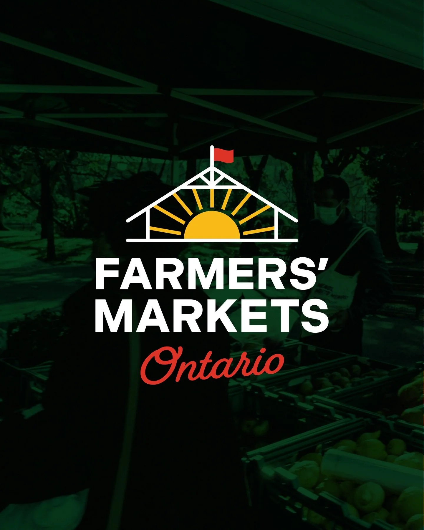 Had fun doing a little logo refresh for @farmers_markets_ont 👩&zwj;🌾🍅🌱 Kept the original vibe of their heritage logo but a little more modern! I&rsquo;m a farmer&rsquo;s market superfan so loved getting to work on this one!! #logodesign #graphicd
