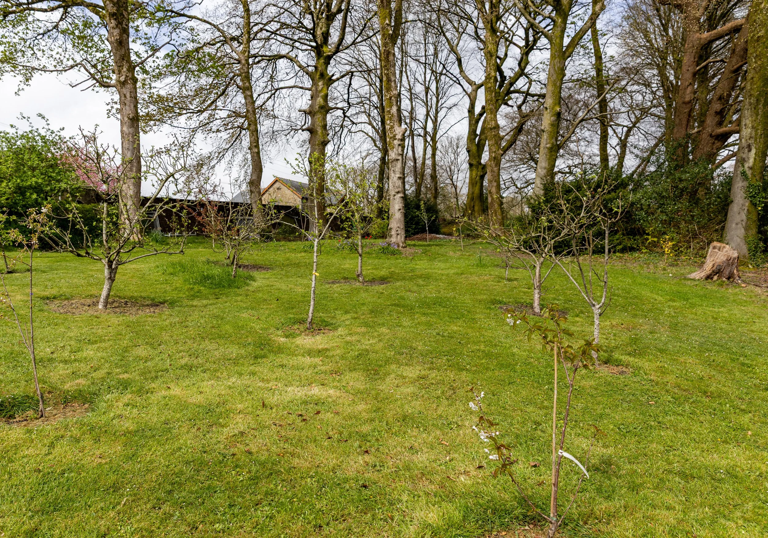 Drymmau Care Home-L – 40.jpg
