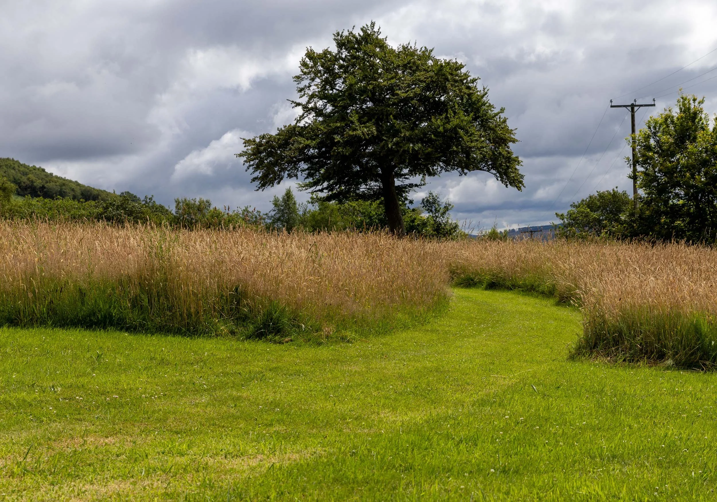 One man went to mow, went to mow the meadow…