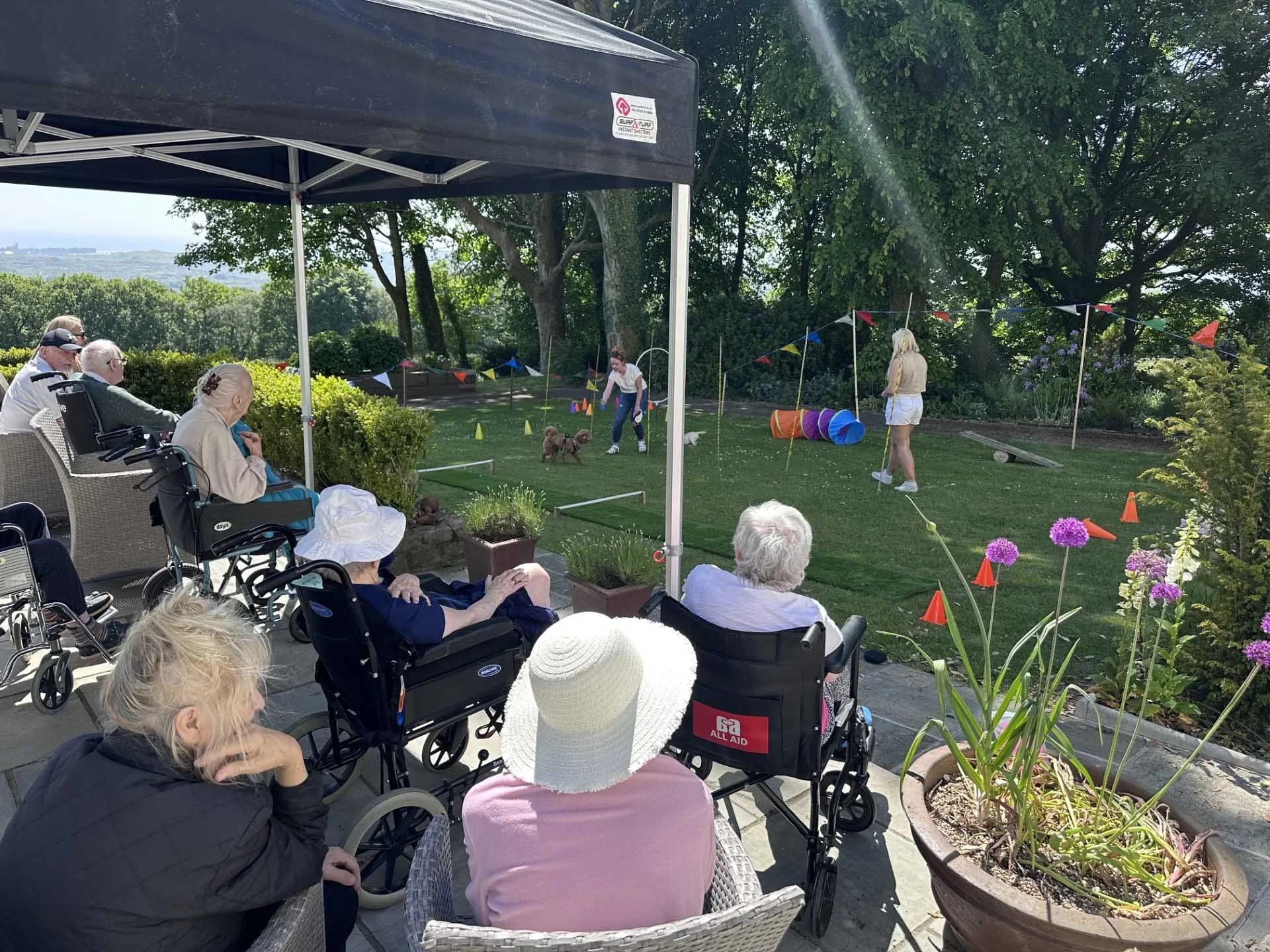 Residents enjoying Doggy Agility Day with dogs at Drymmau Hall
