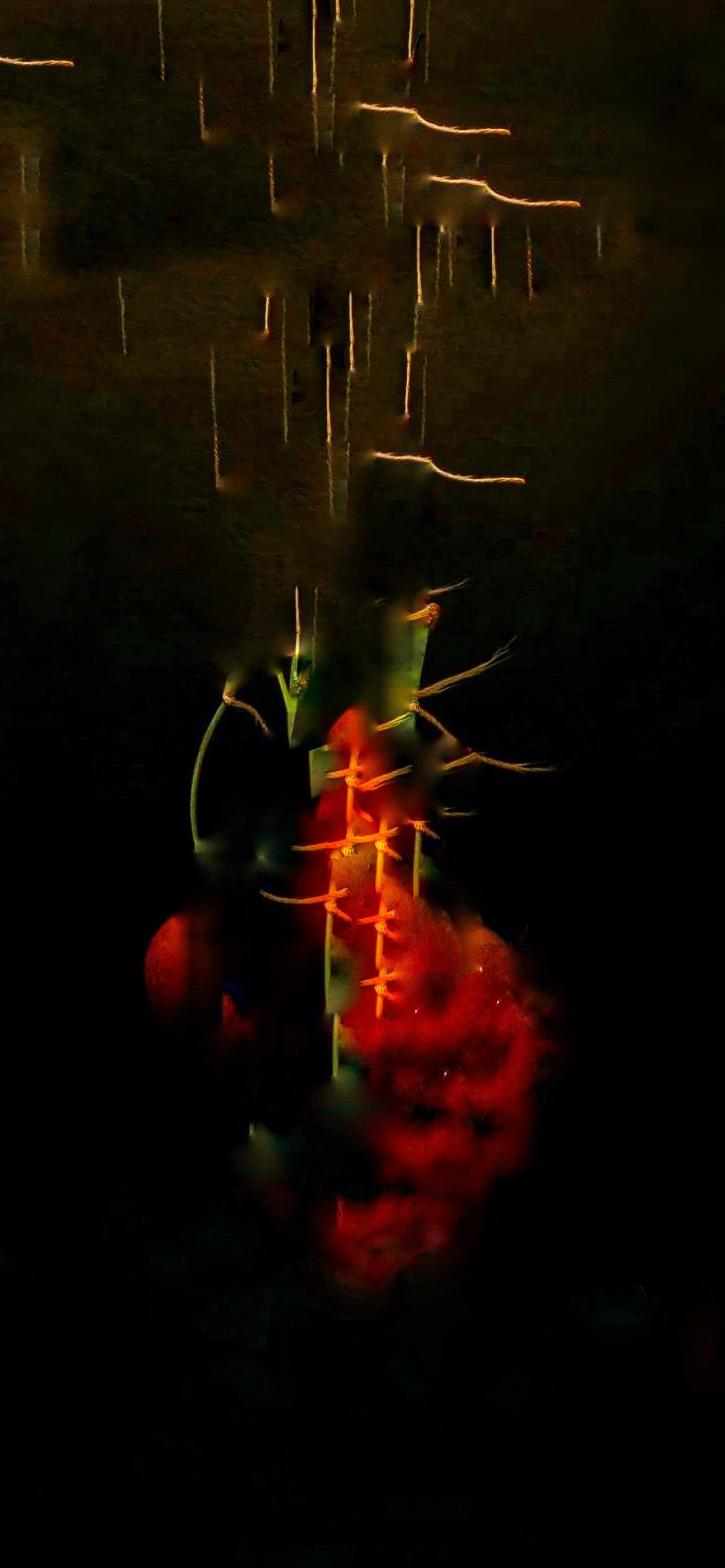 Melina Dada - “Heart of Thorns”, Digital painting, 27 x 47, 2021 