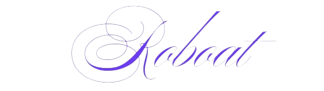 Roboat Capital