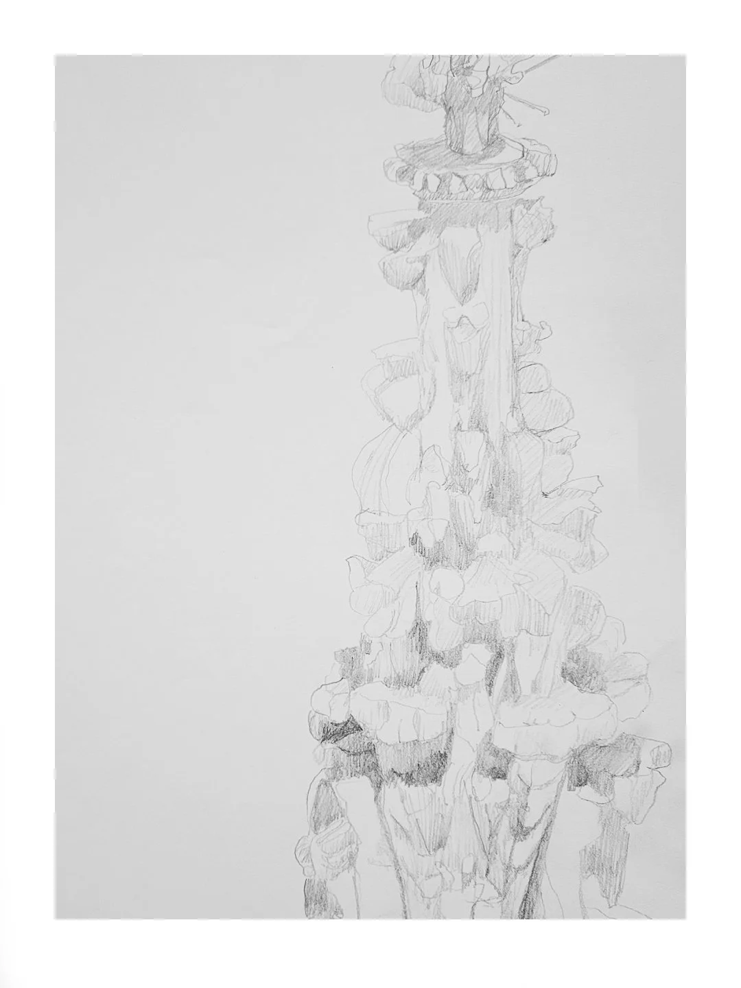 2026_RCA-2 (The Choir)_sm_2.jpg