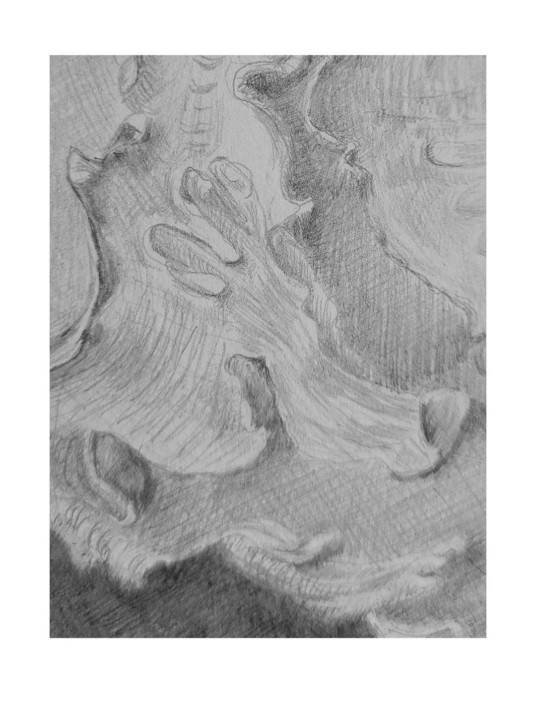 2026_Rocaille3_master_3 (detail).jpg