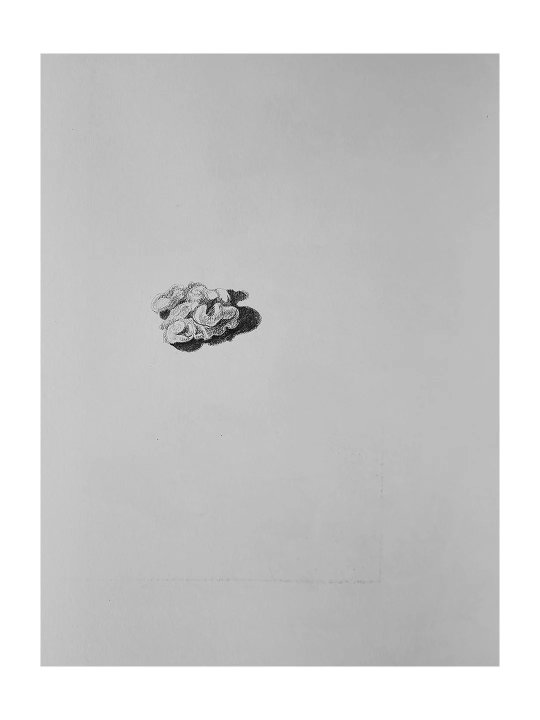 2025_Metamorphosis_sm 13.jpg