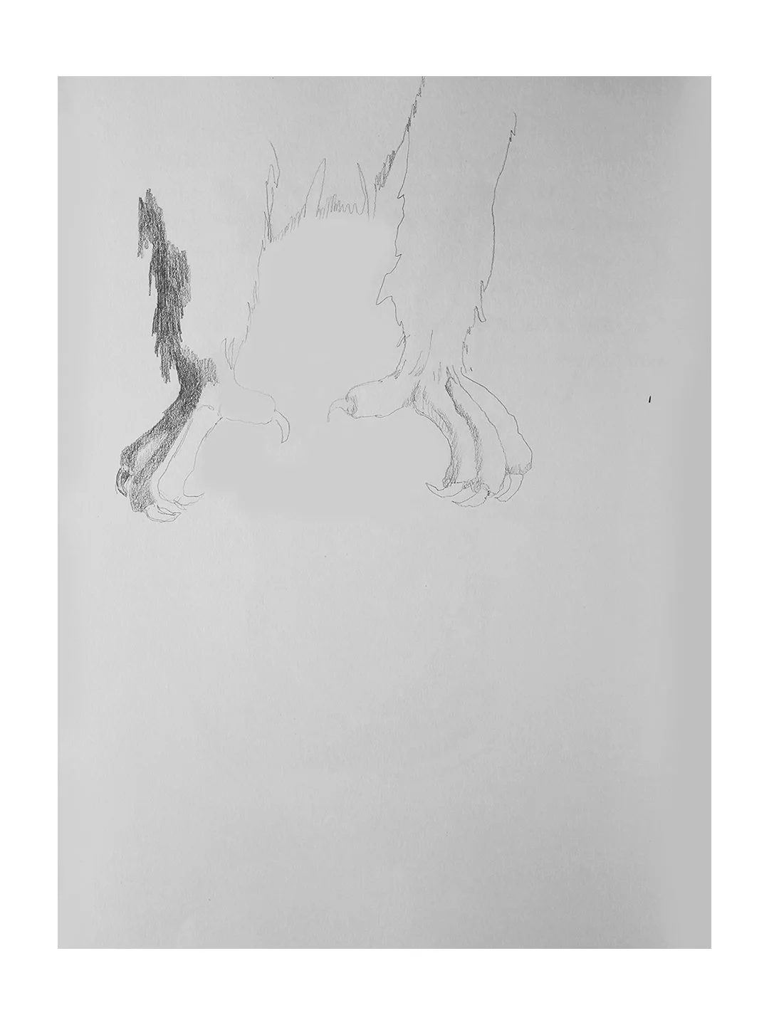 2025_Metamorphosis_sm 7.jpg