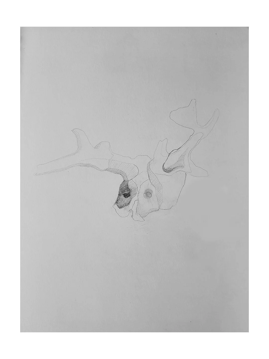 2025_Metamorphosis_sm 16.jpg