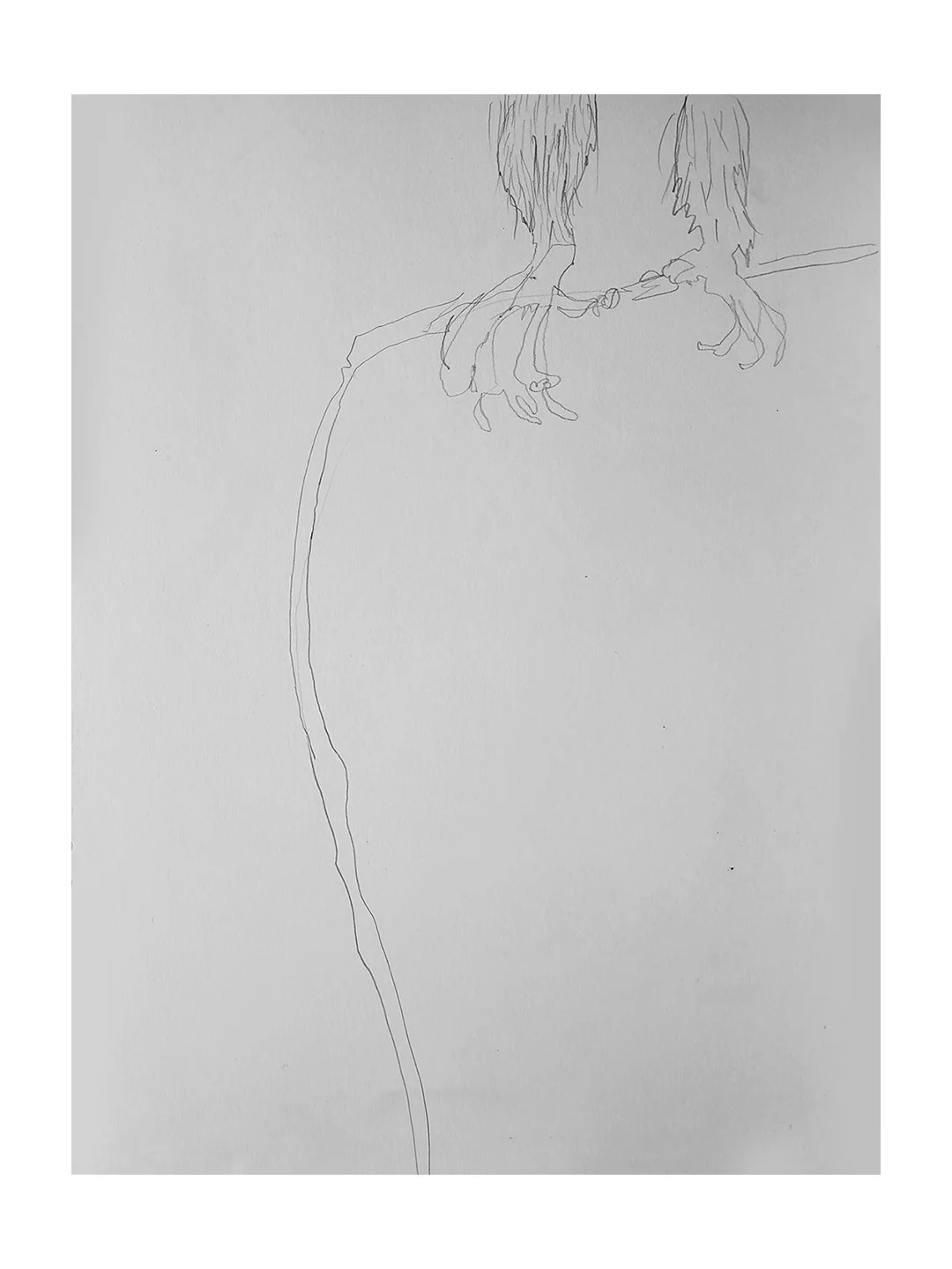 2025_Metamorphosis_sm 6.jpg