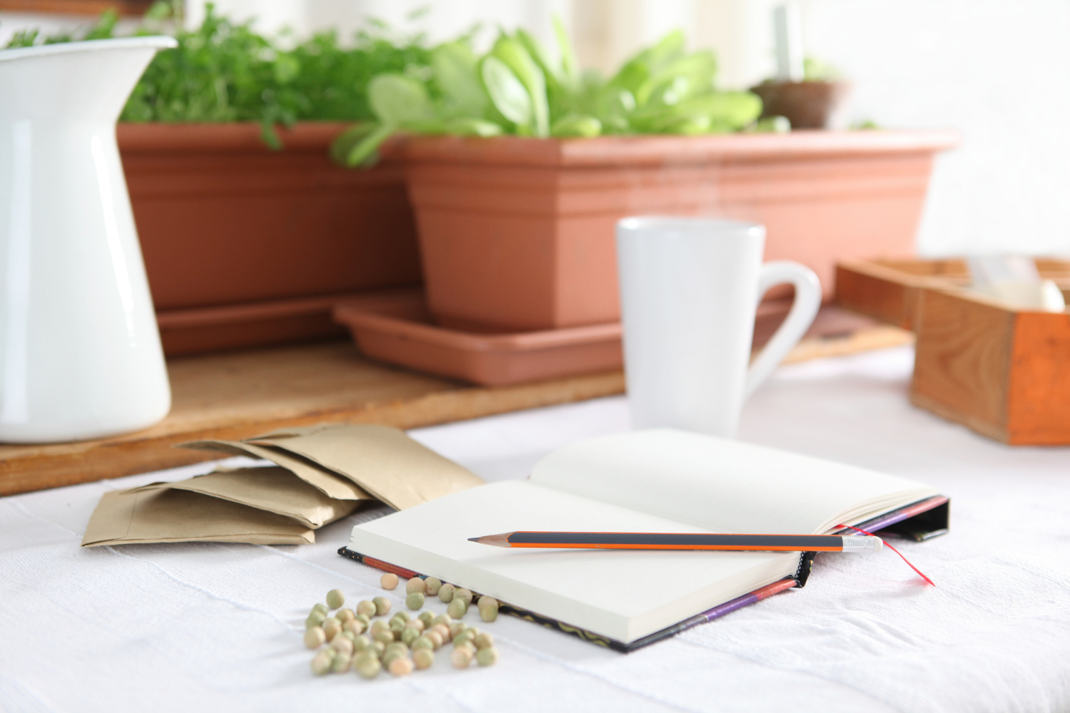 Open notebook with a pencil on top, scattered chickpeas, brown paper bags, white mug, and potted green plants on a table.