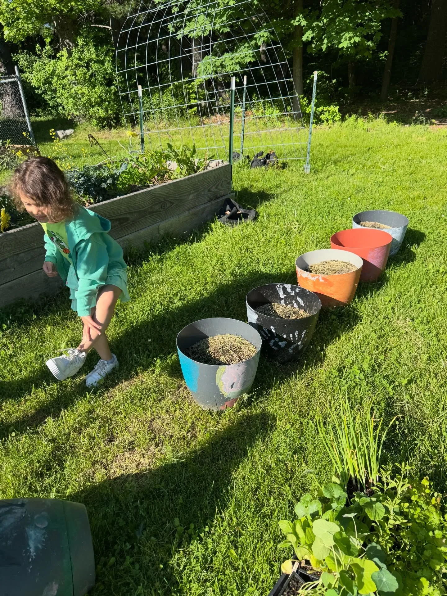 @hoopsandhomework1 interfaith garden planted their temporary container gardens.  We planted onions, stevia, watermelon, cilantro, pumpkin, squash, nasturtium, and rebeckia flowers. Some of the kids also enjoyed eating the kale and others did not.