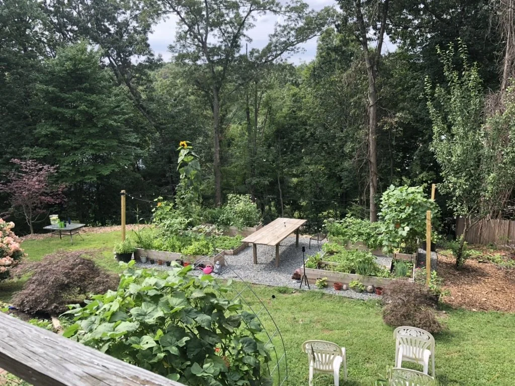 Tasty Harvetsts Food Garden 2021