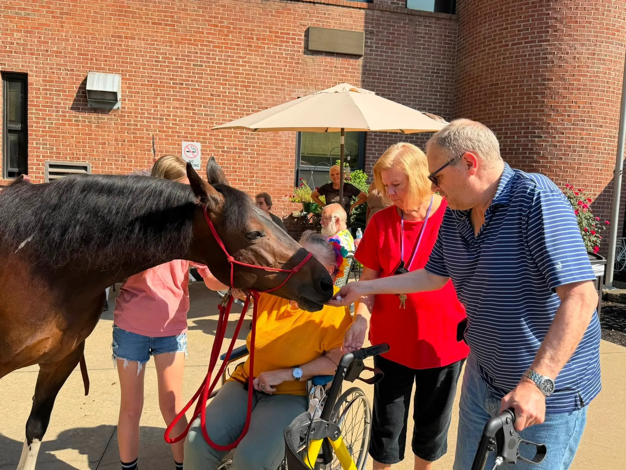 Horse and Farm Animal Visit at Ivy Knoll