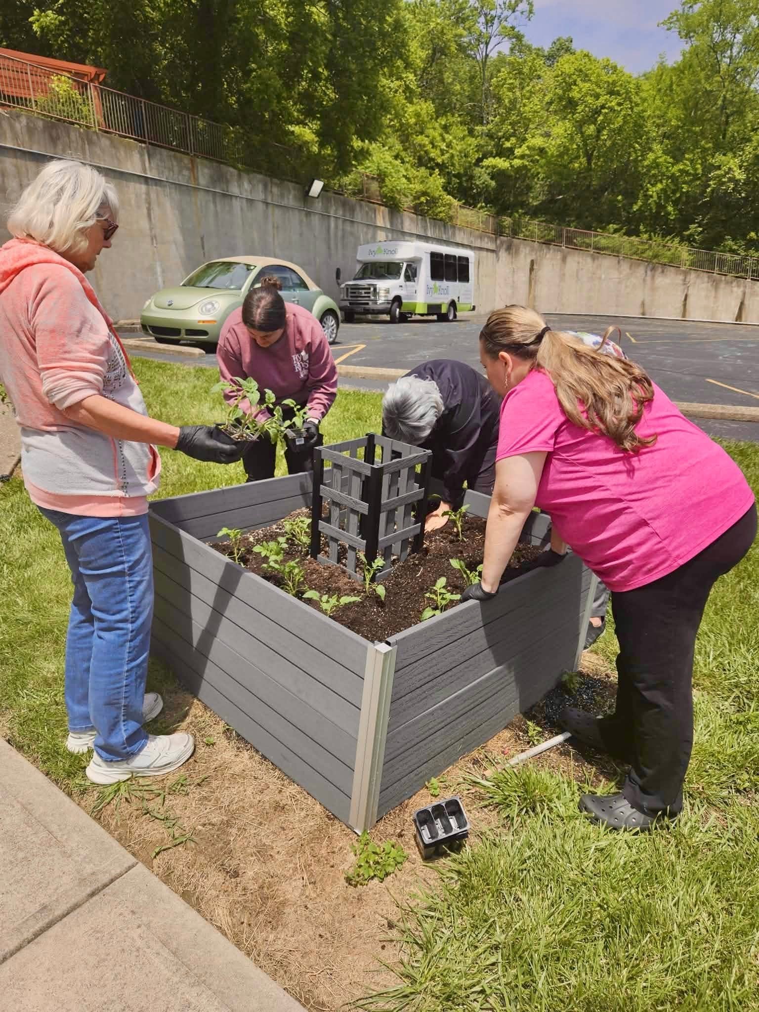 Planting plants at Ivy Knoll 