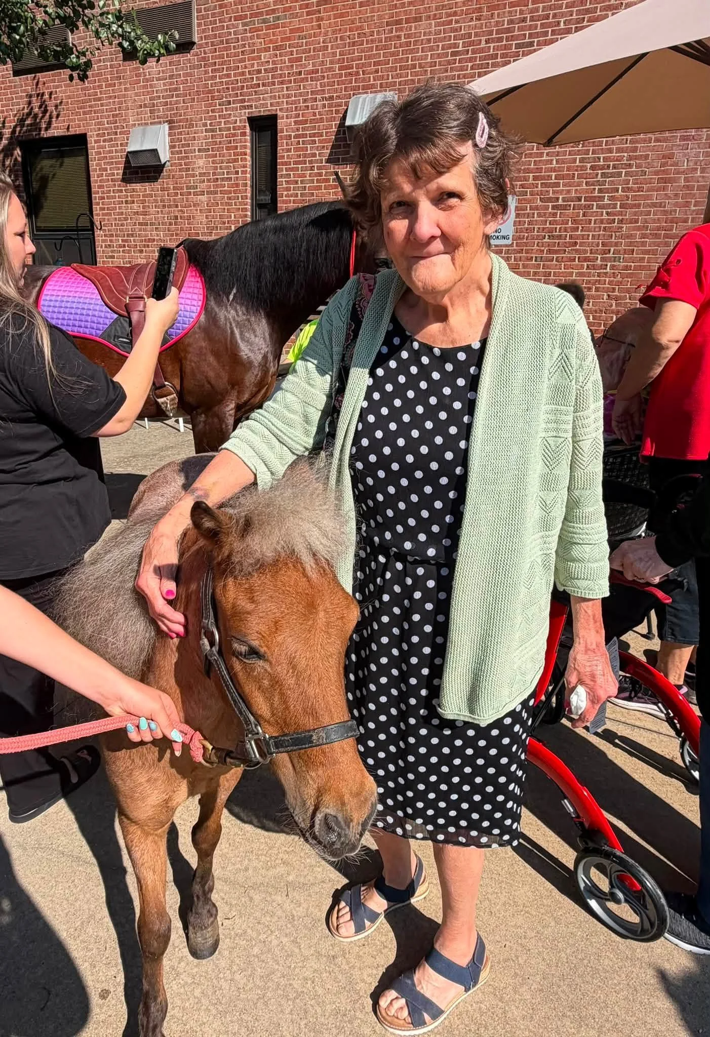 Pony visit at Ivy Knoll