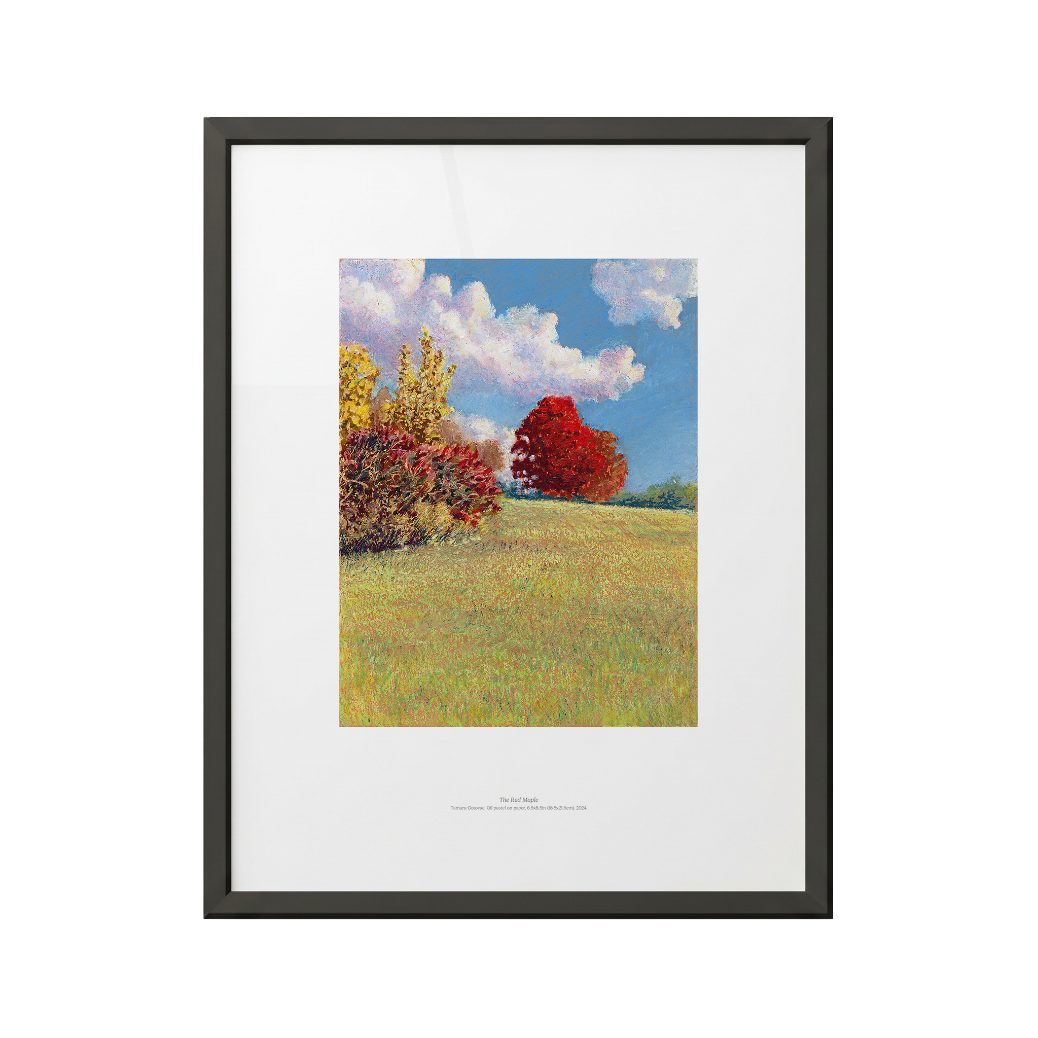 The Red Maple Framed Fine Art Poster 11"x14" (27x35 cm)