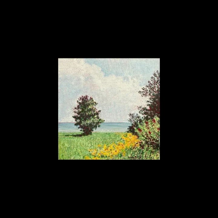 I&rsquo;ve been well. This summer, while not without its fair share of sadness, has been overwhelmingly joyful. I haven&rsquo;t been dedicating nearly enough time to art-making, but inspiration has been plenty.
I&rsquo;m starting work on a series of 