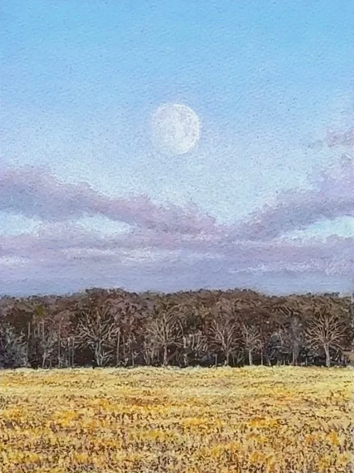 I love her, my forever muse. 🌝 

Reality
5.5&rdquo;x7.5&rdquo;, oil pastel on paper
🔴

#moonportrait #canadianlandscape #landscapeartist