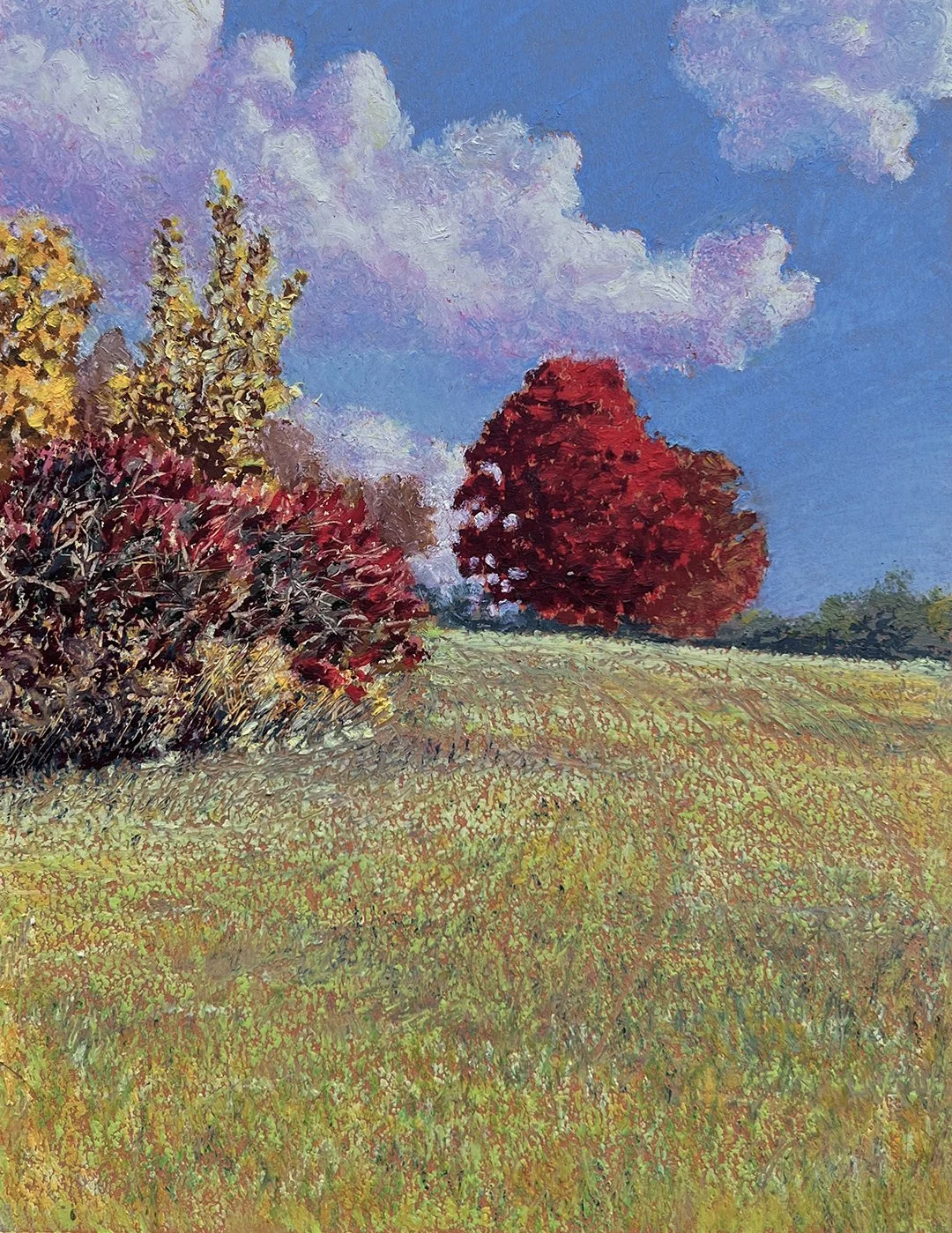 theRedMaple_©TamaraGotovac_2024_postcard.jpg