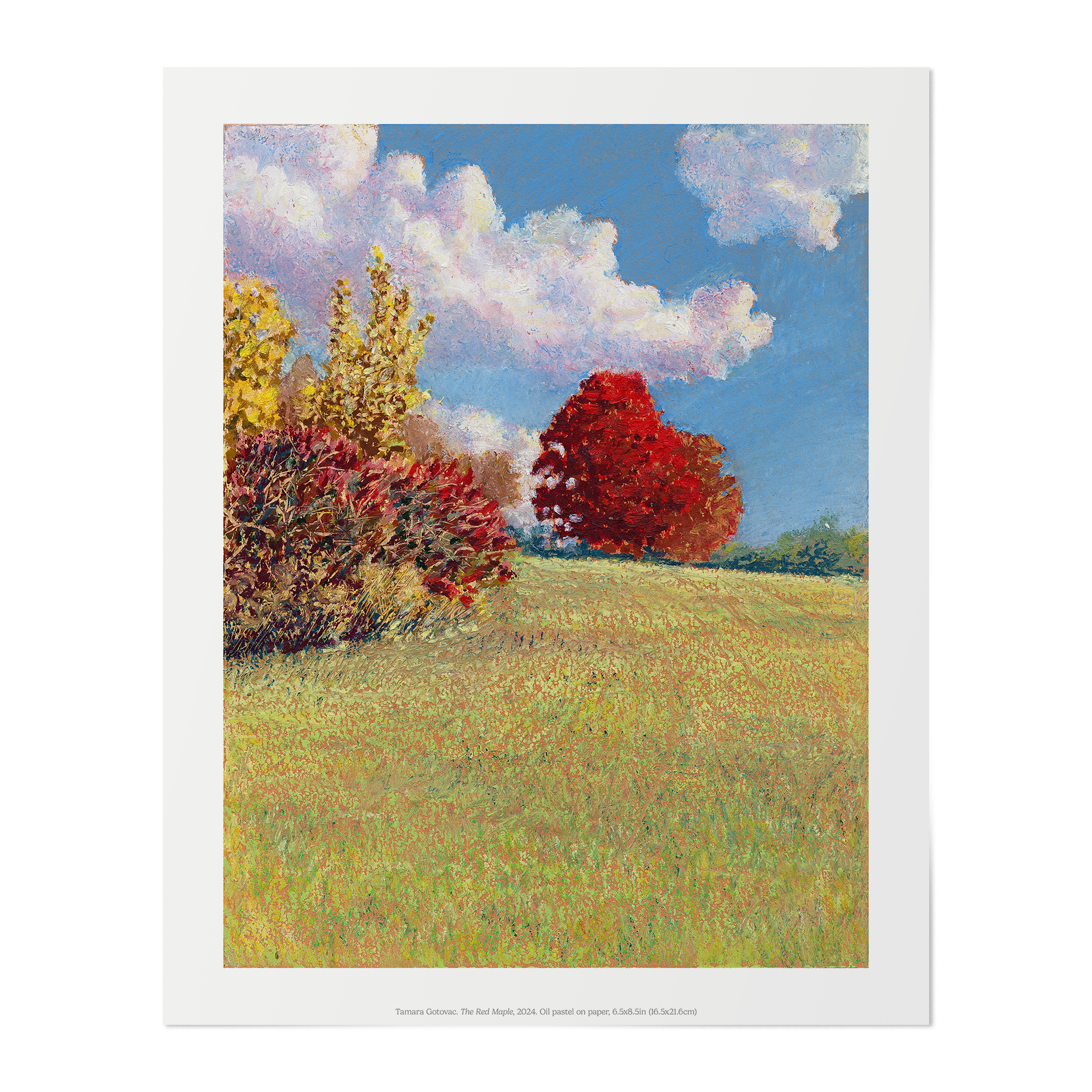 The Red Maple Art Poster 8"x10" (20x25 cm)