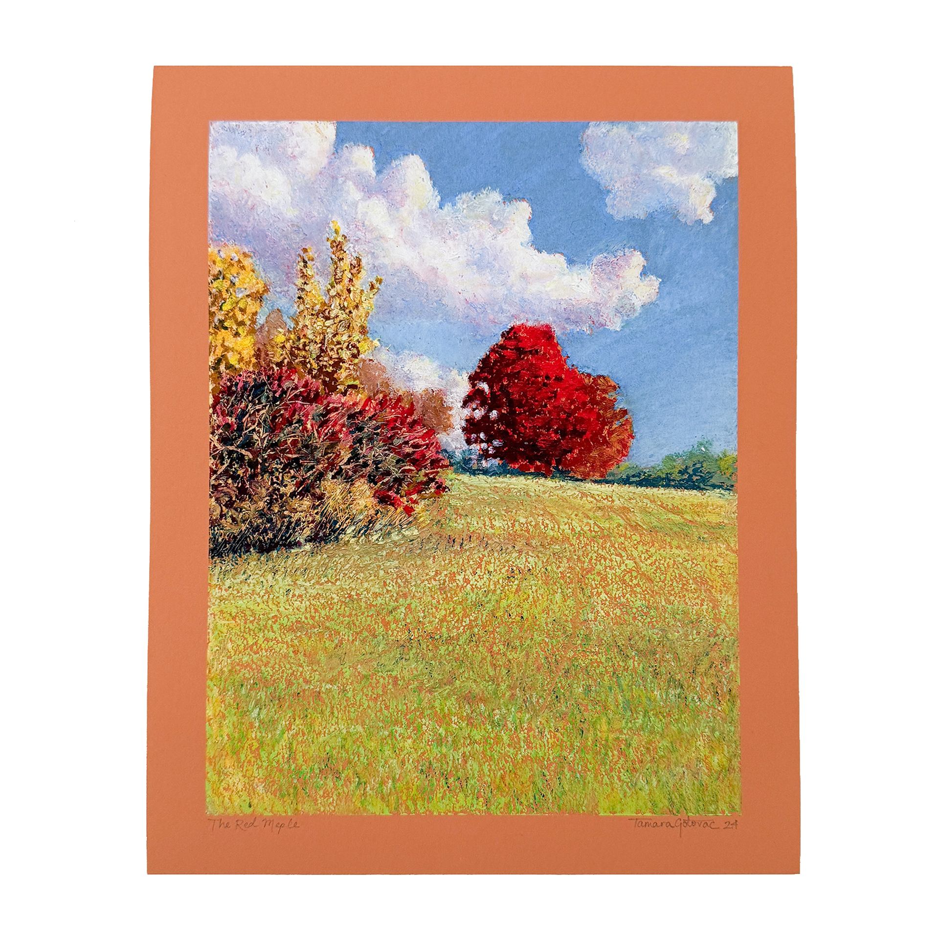 "The Red Maple" Art Print