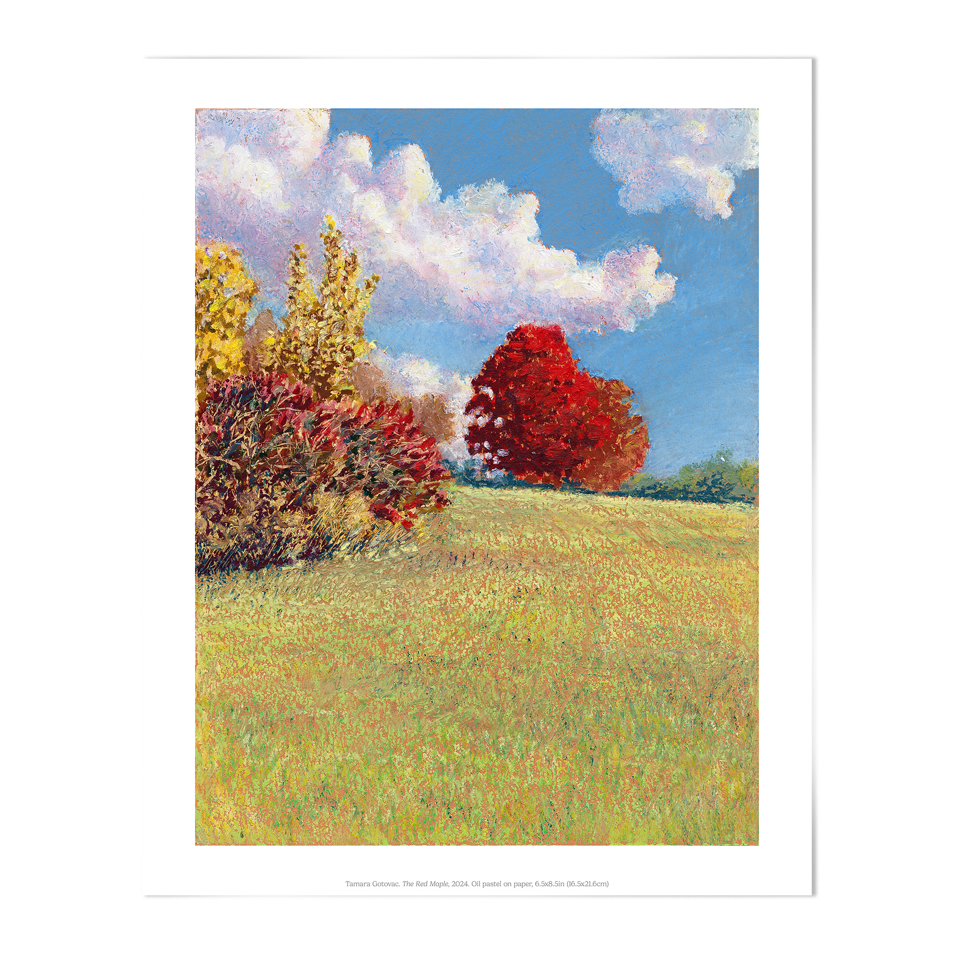 posterMock2-RedMaple_©TamaraGotovac.png