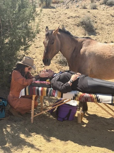 1:1 Healing Session with Horses