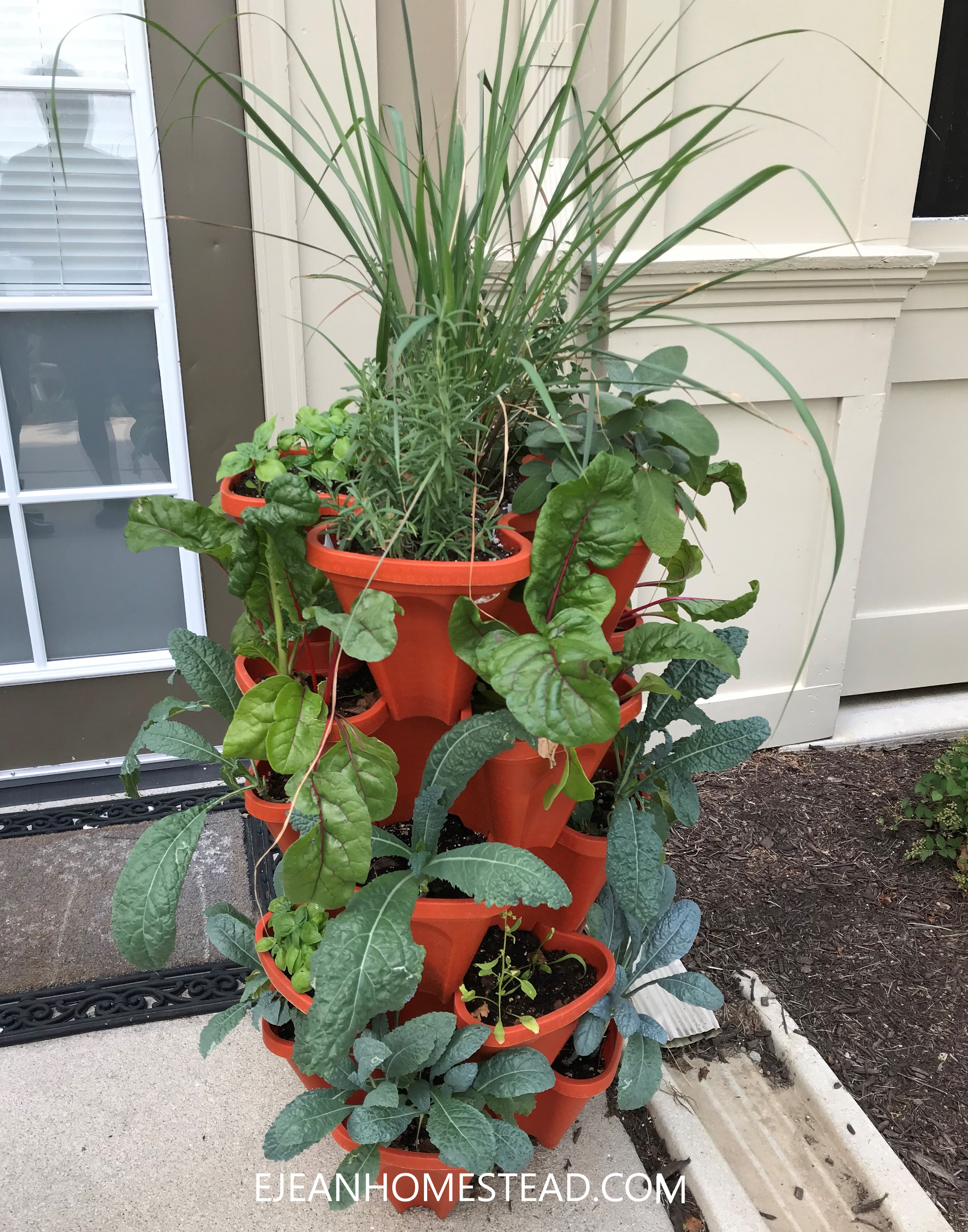 Container Gardening Harvest - 2020