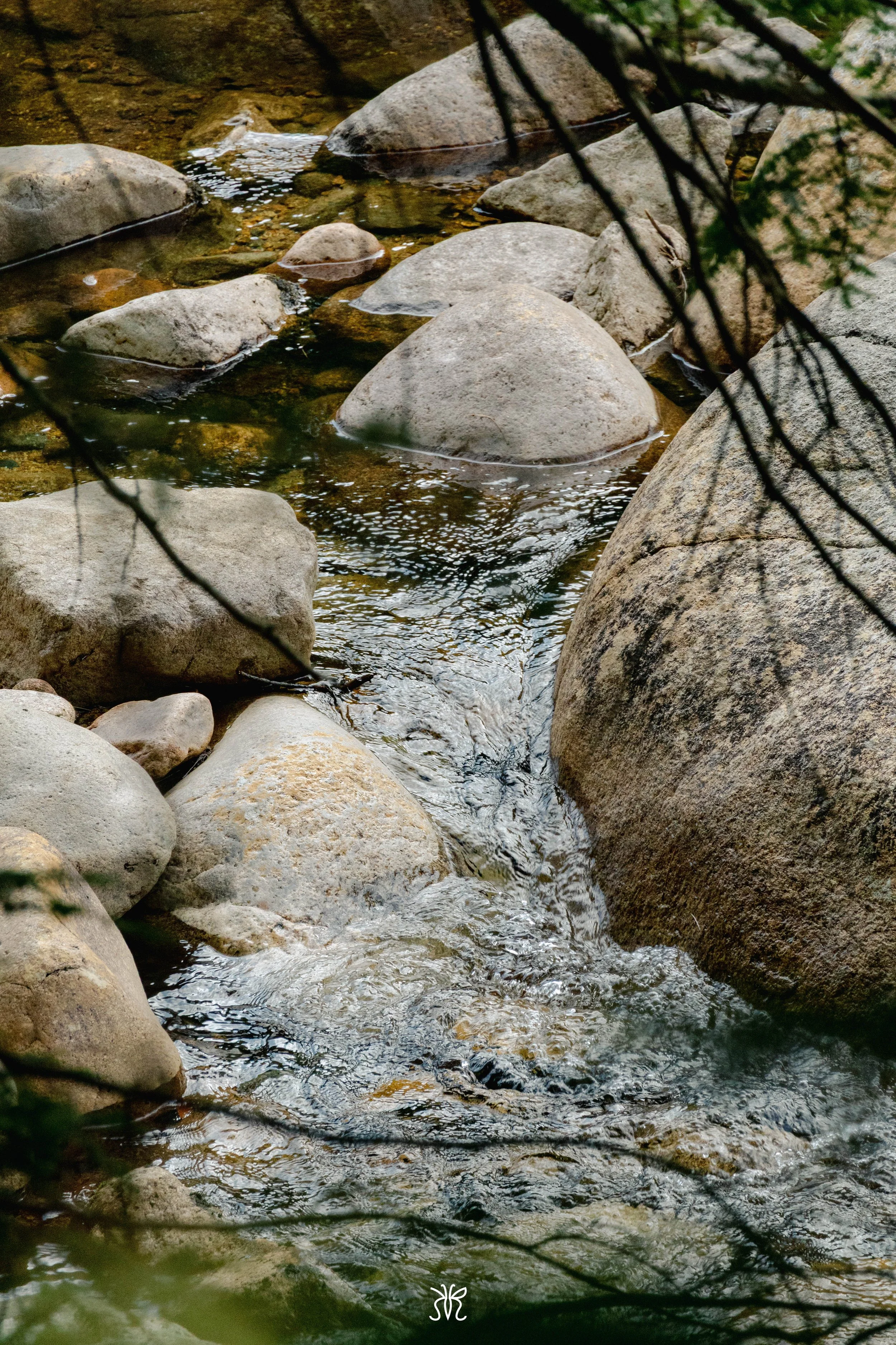 IMG_5570.jpg