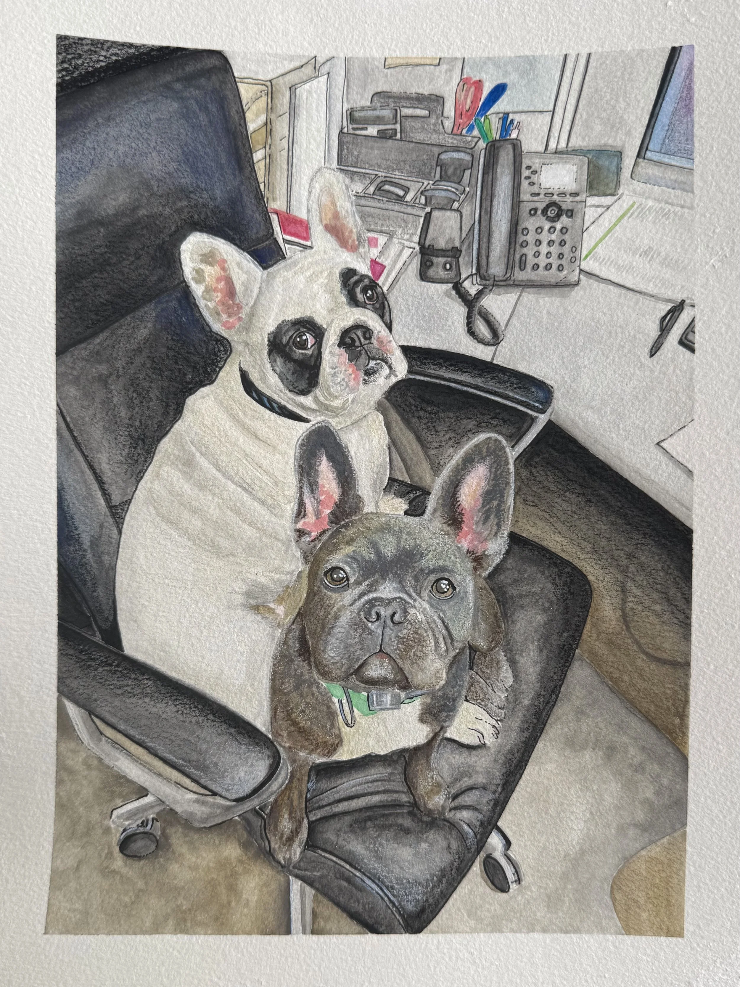 "Rip & Sky"

9x12 mixed media pet portrait on Canson watercolor paper. Completed in Koi-I-Noor watercolors, Prismacolor colored pencils, and an assortment of inks.

June 2026