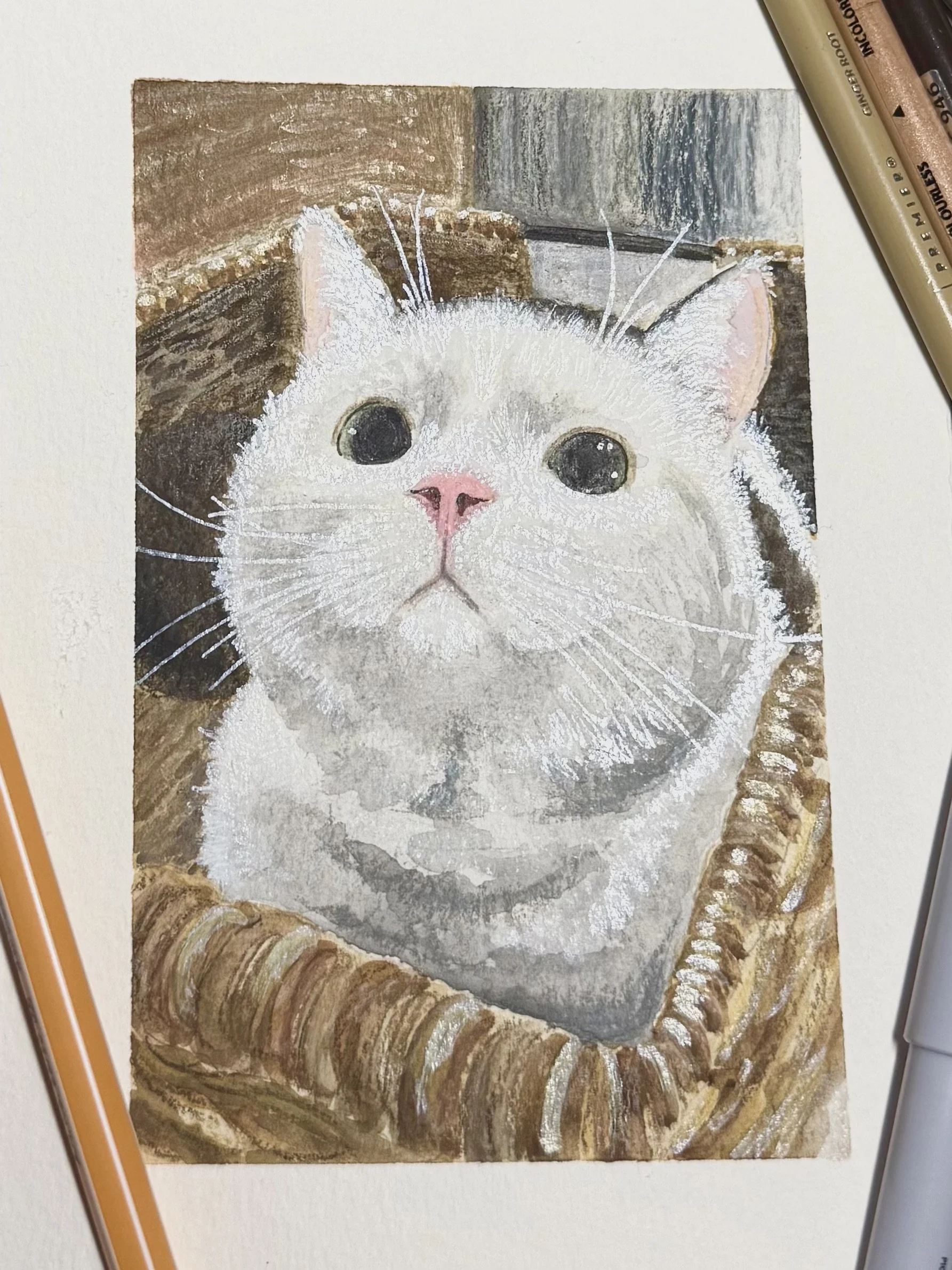 "Oliver"

5x7 mixed media pet portrait on Canson watercolor paper. Completed in Koi-I-Noor watercolors, Prismacolor colored pencils, and an assortment of inks.

June 2026