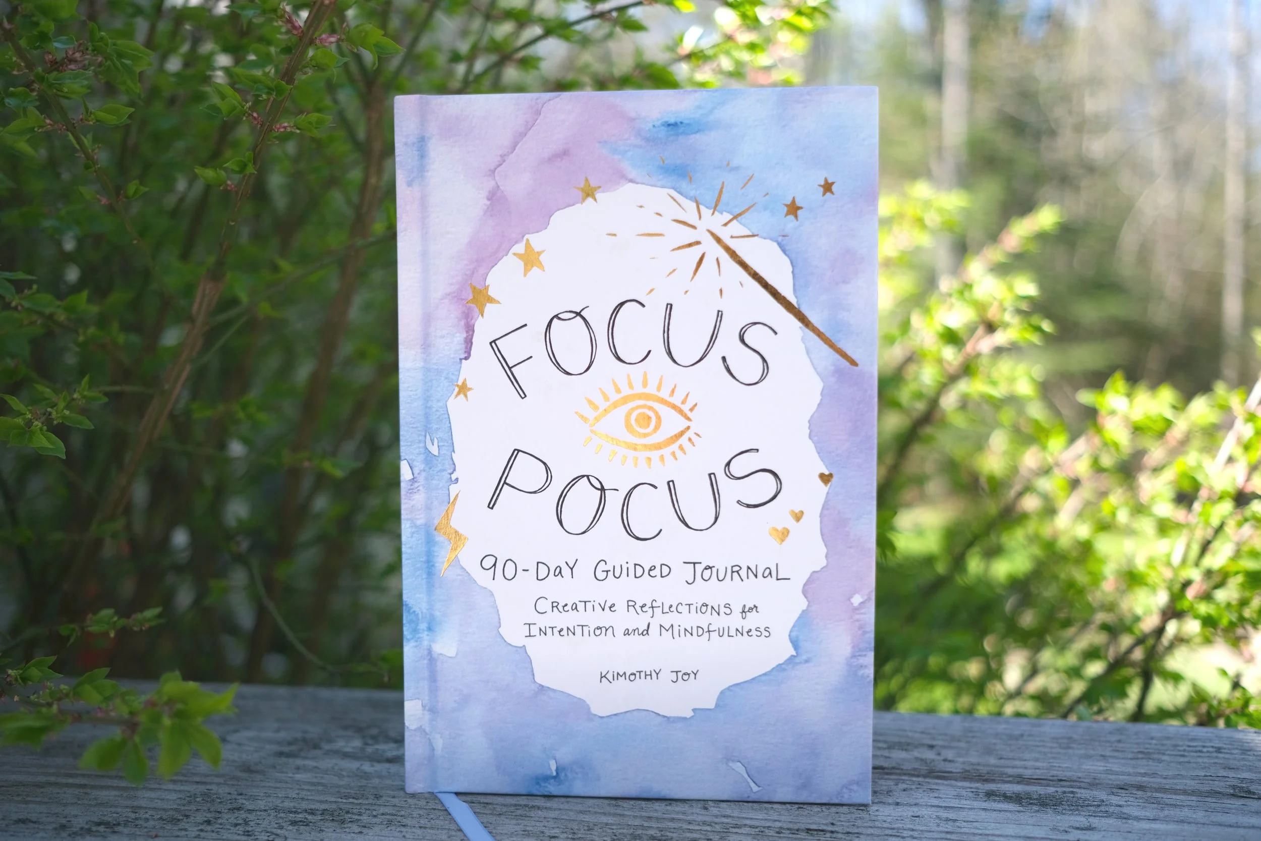 FocusPocus_front_cover_1.jpg