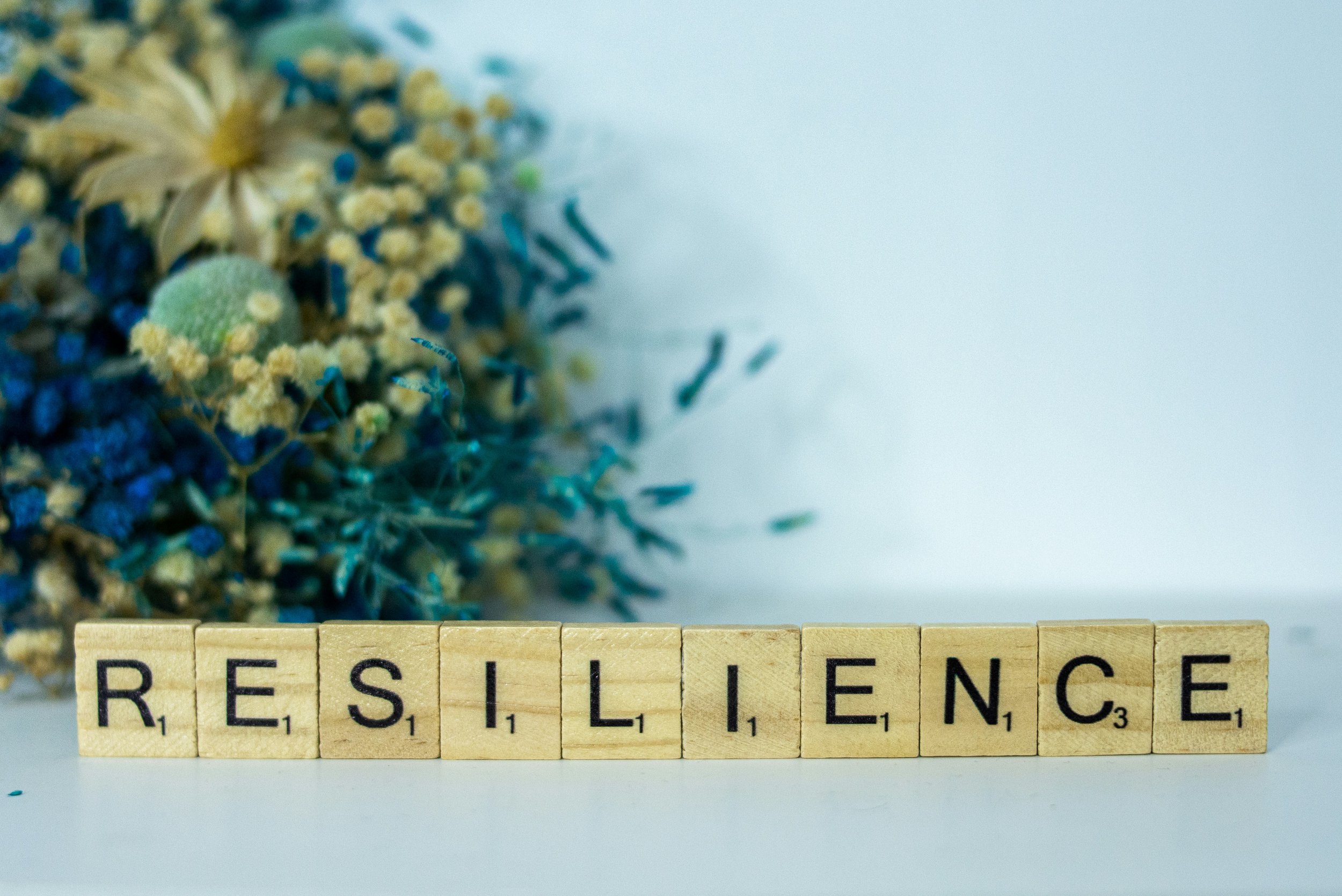 Tech Tuesday: Building Digital Resilience