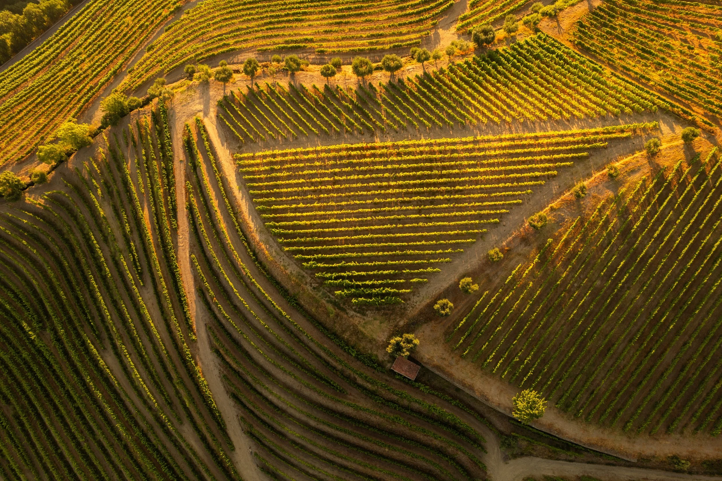 The Potential of Private Land Conservation in Europe