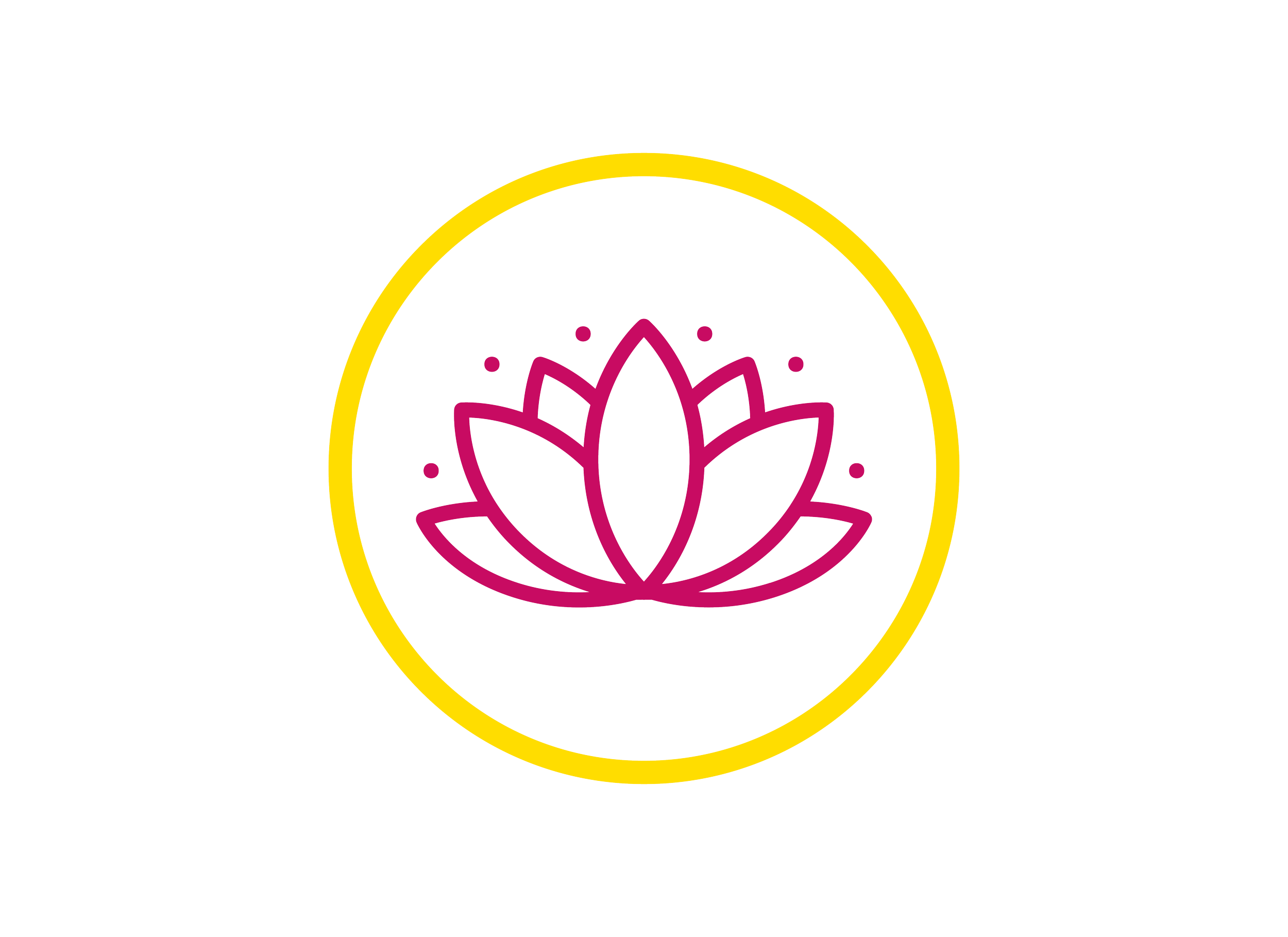 Logo with a pink lotus flower inside a yellow circle, with the words "Wellness and Peace" underneath.