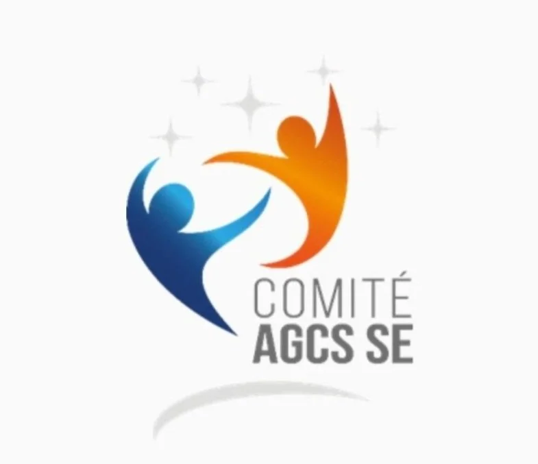 Comité AGCS SE Allianz