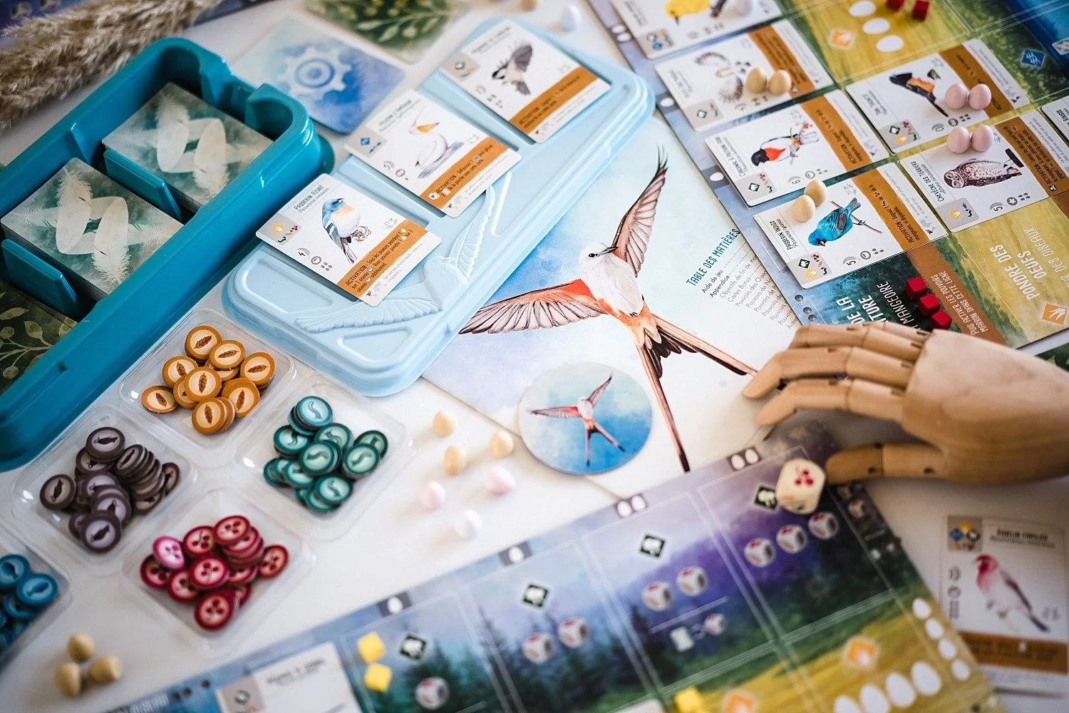 bibliothèque jeux de société