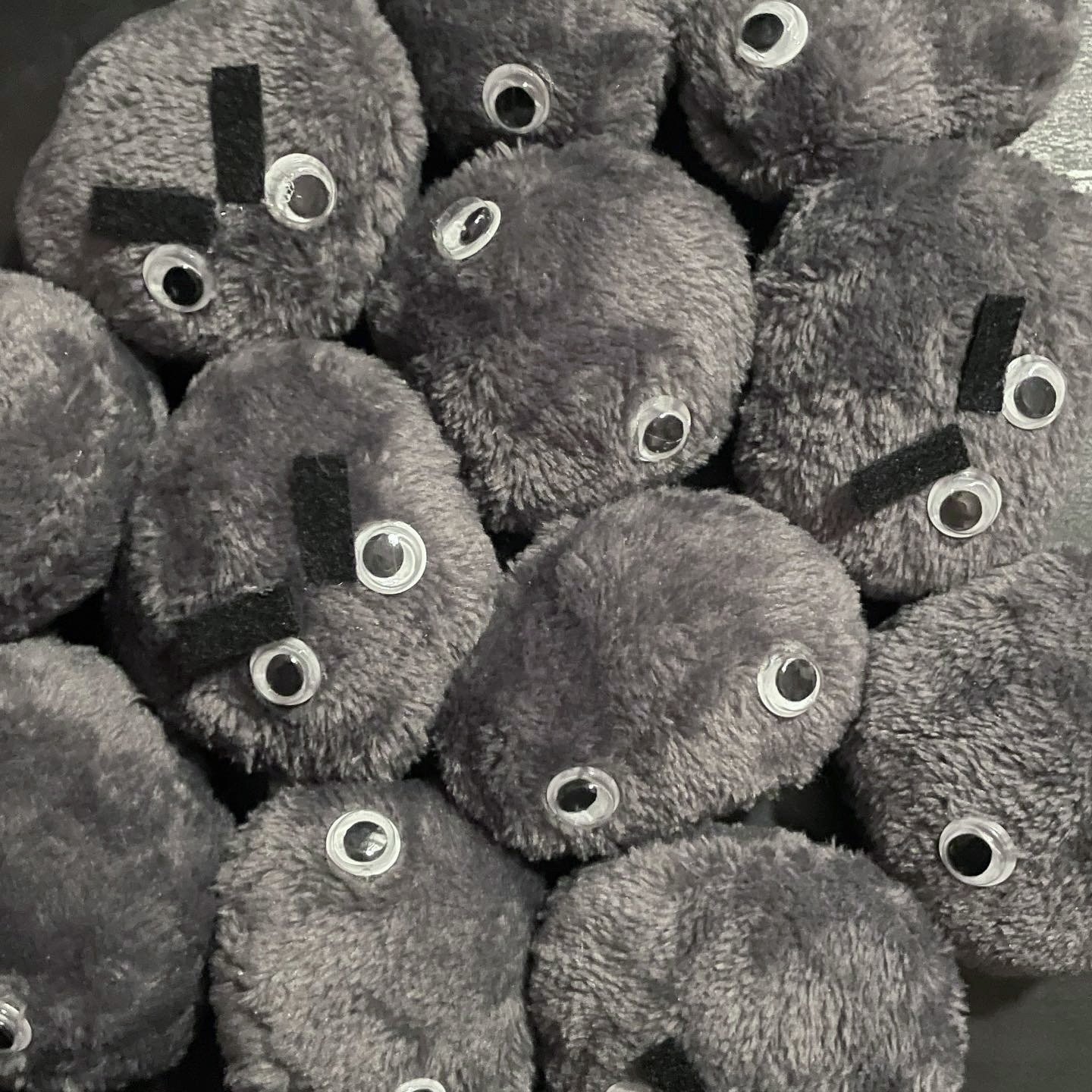 Pet Rock But Soft