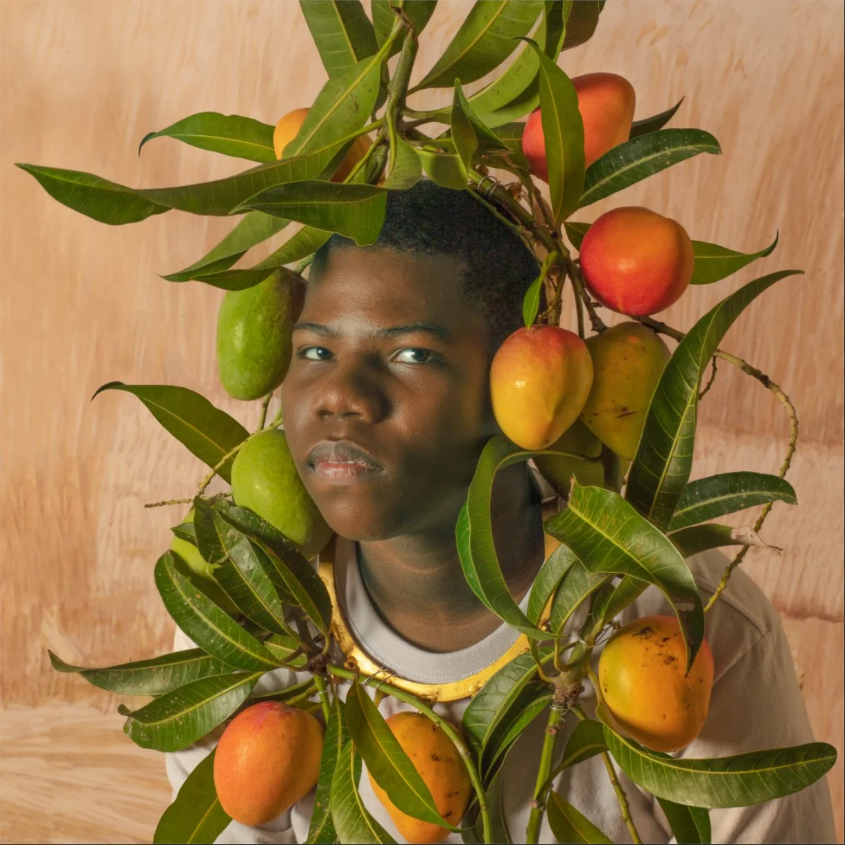 RR DAVIR BARRIOS.jpg