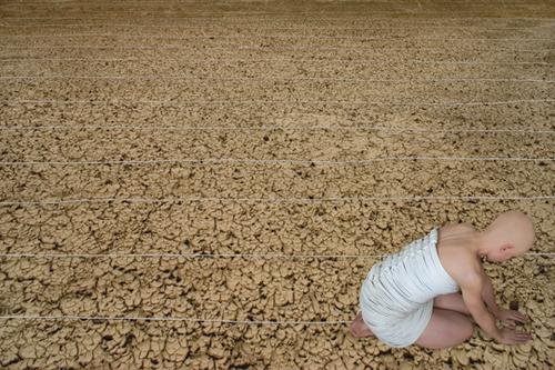 Harvest, 2007
Digital C-print
24 x 36 in. (61 x 91.4 cm)
Edition of 5
Edition 3 of 5