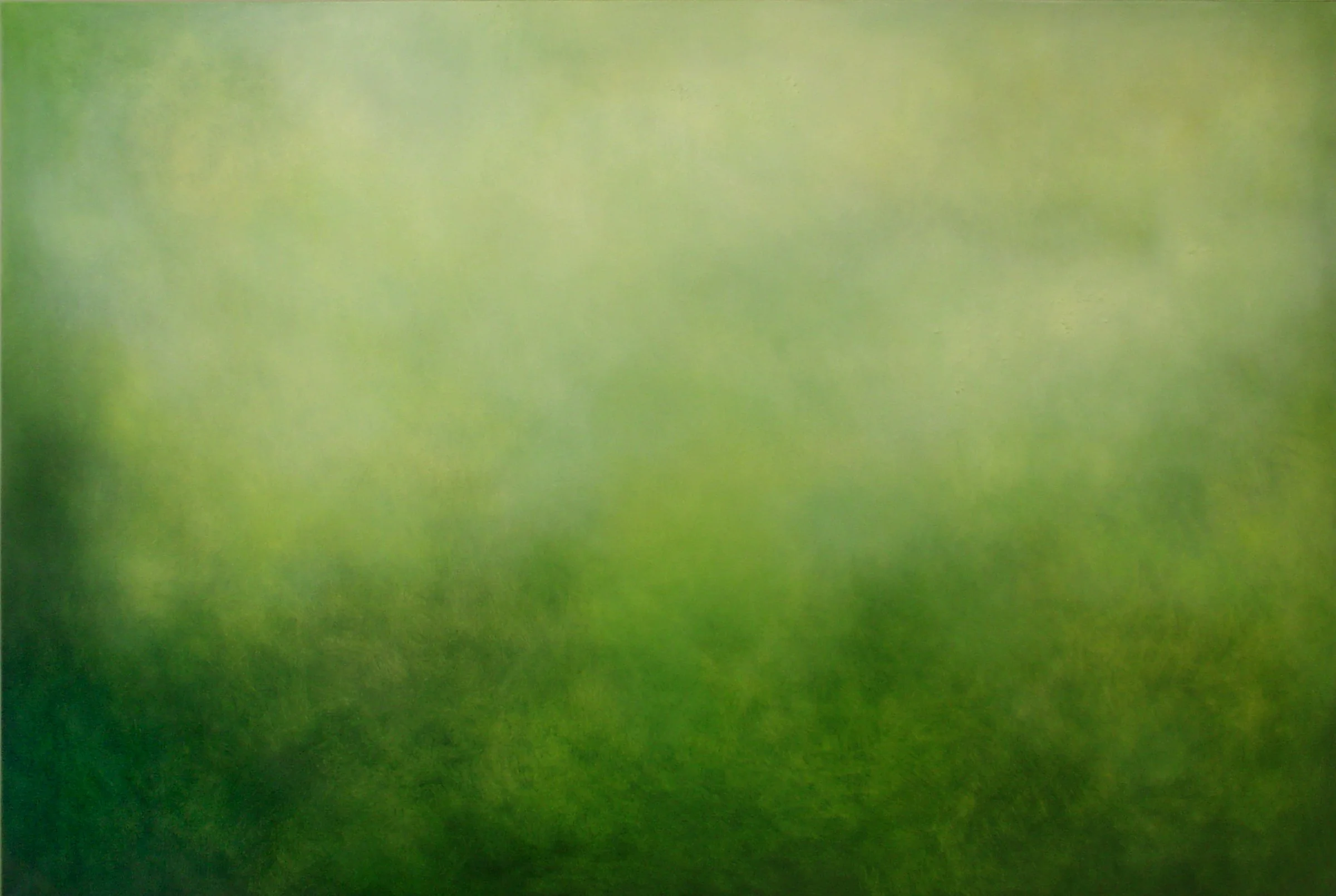 Julie Hedrick
ODE TO TEMAIR, 2007-8
oil on canvas
48 x 72 in.    122 x 183 cm. 