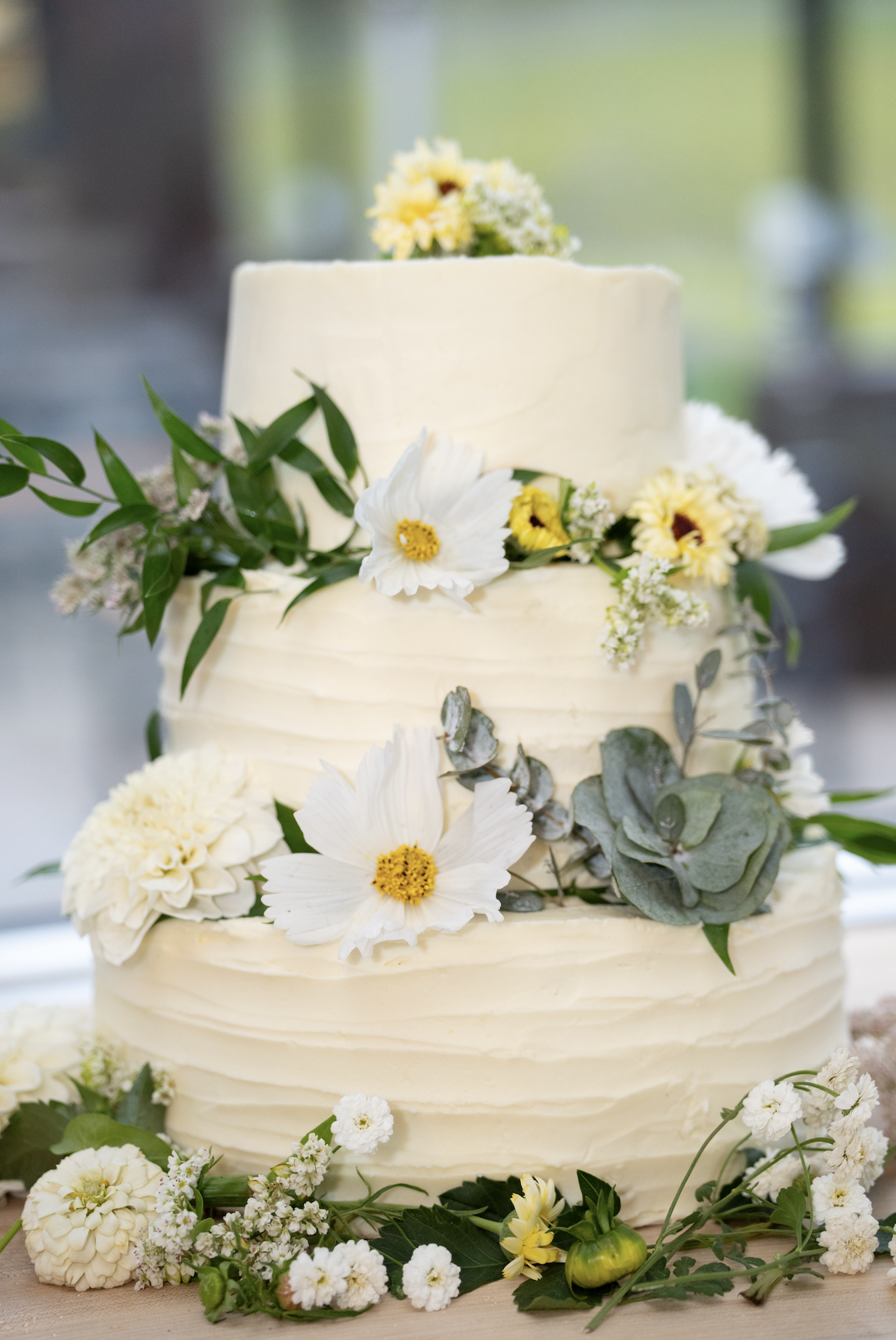 Screenshot 2026-02-09 at 10.24.43 AM.png