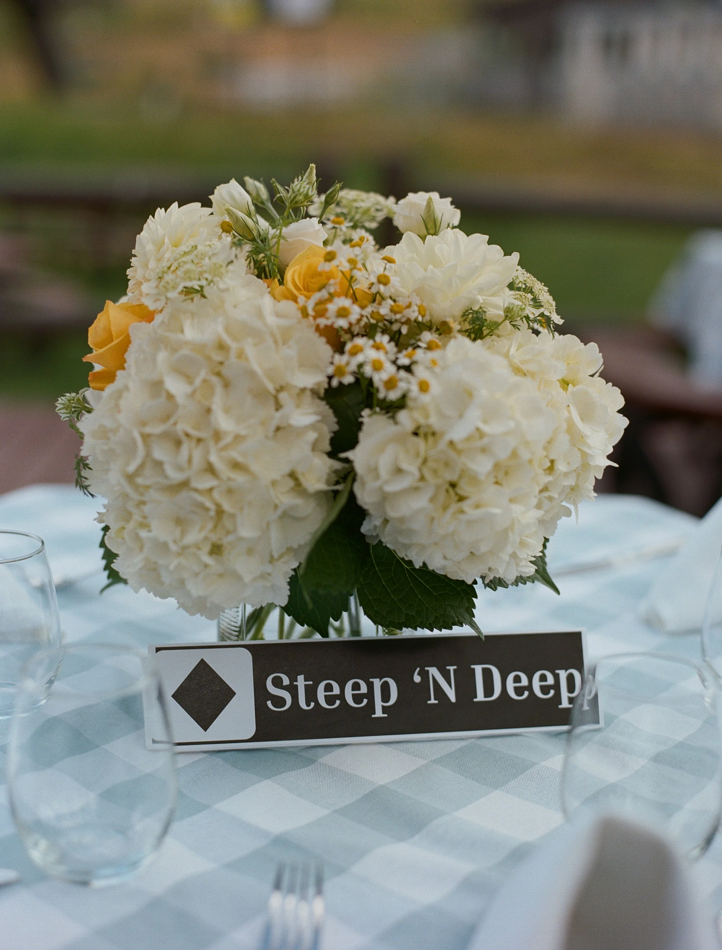 0496lindseynicolephotography04960001.jpg