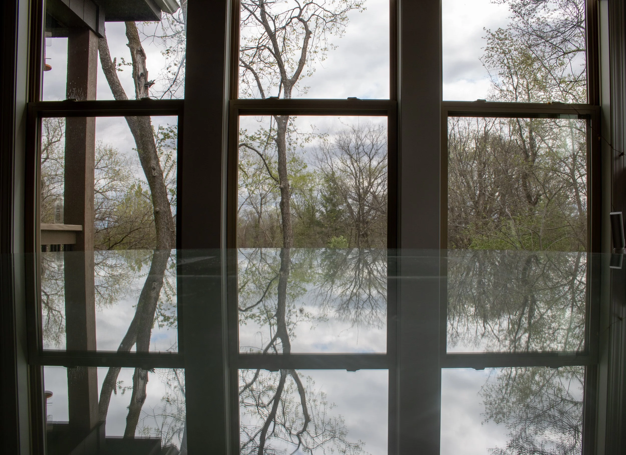 Portfolio images-32.jpg