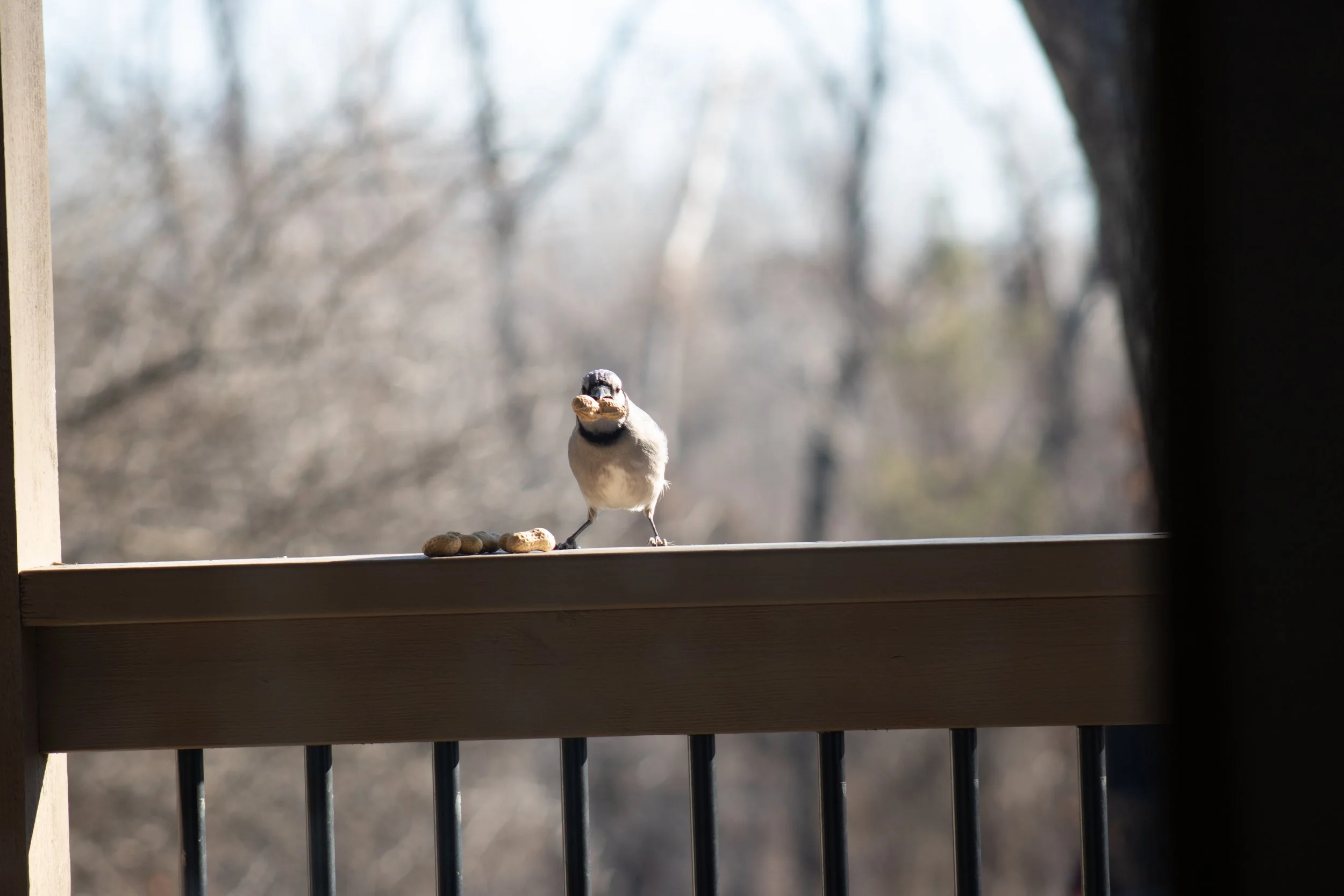 Portfolio images-3.jpg