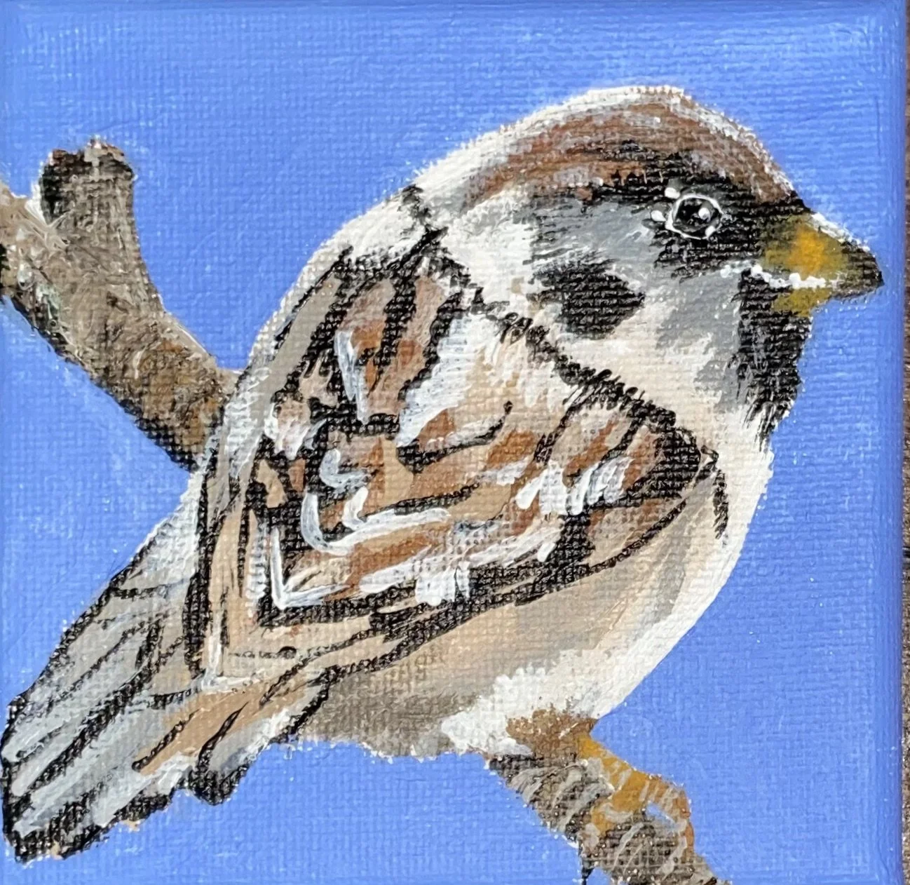 IMG_6731_Original 2.jpeg