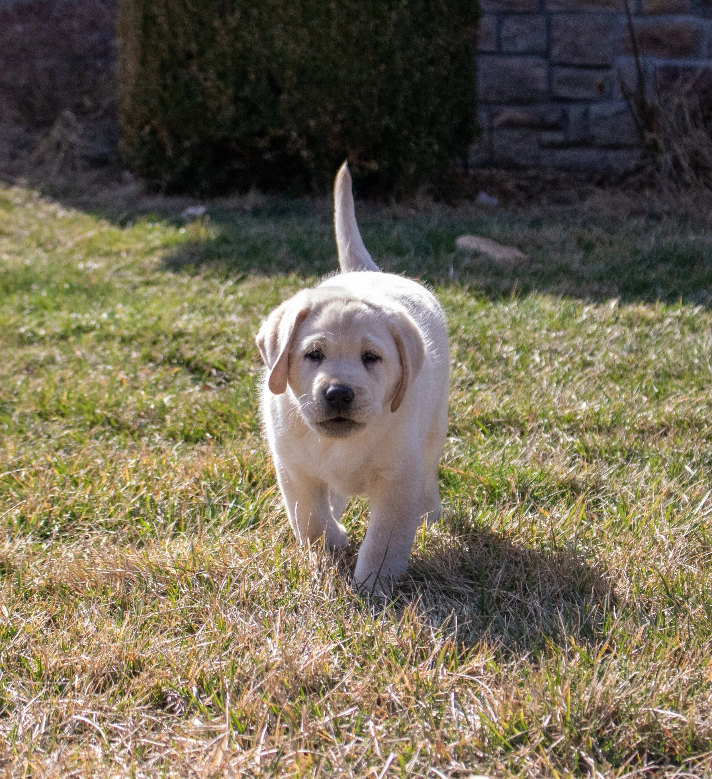 Portfolio images-16.jpg