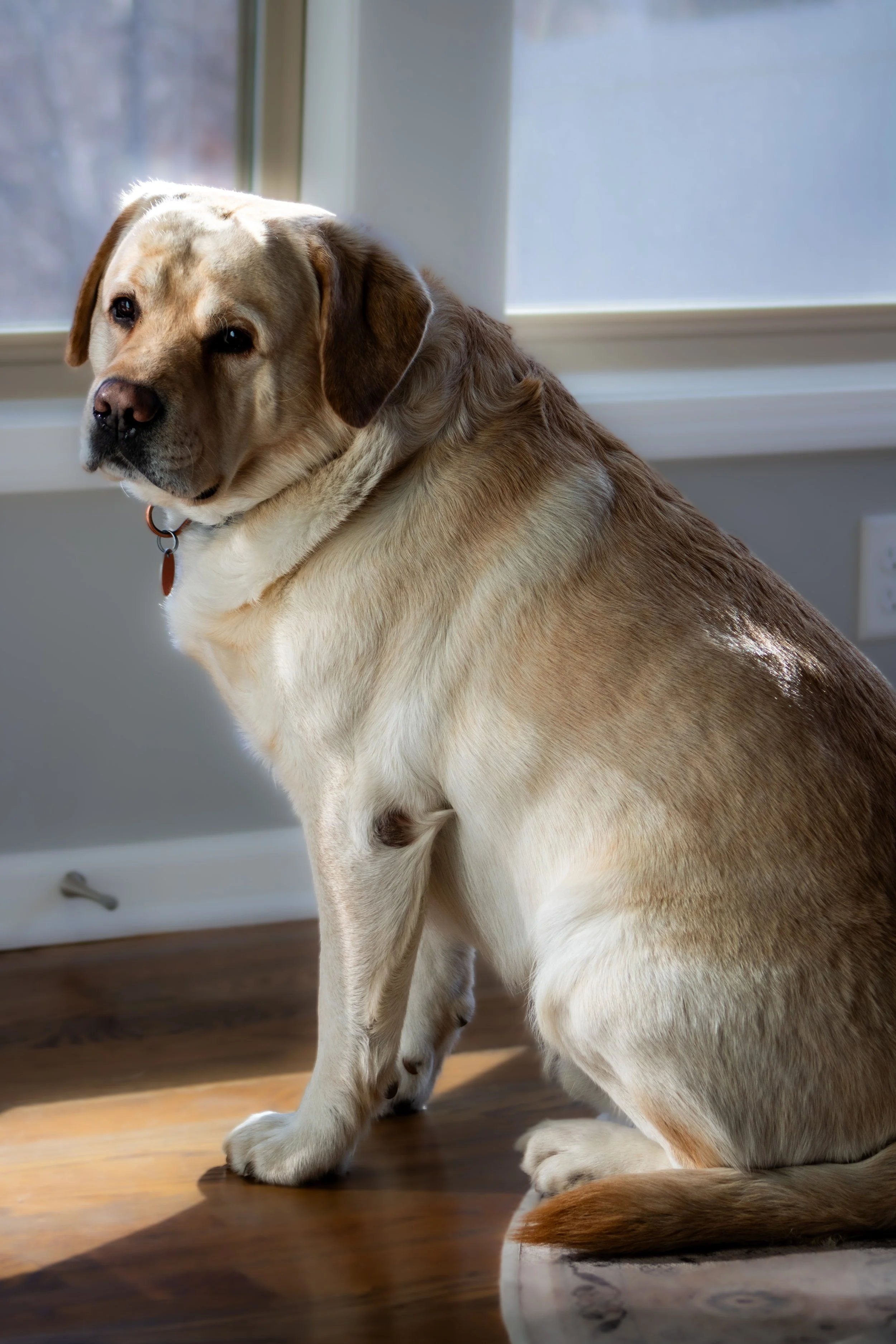 Portfolio images-4.jpg